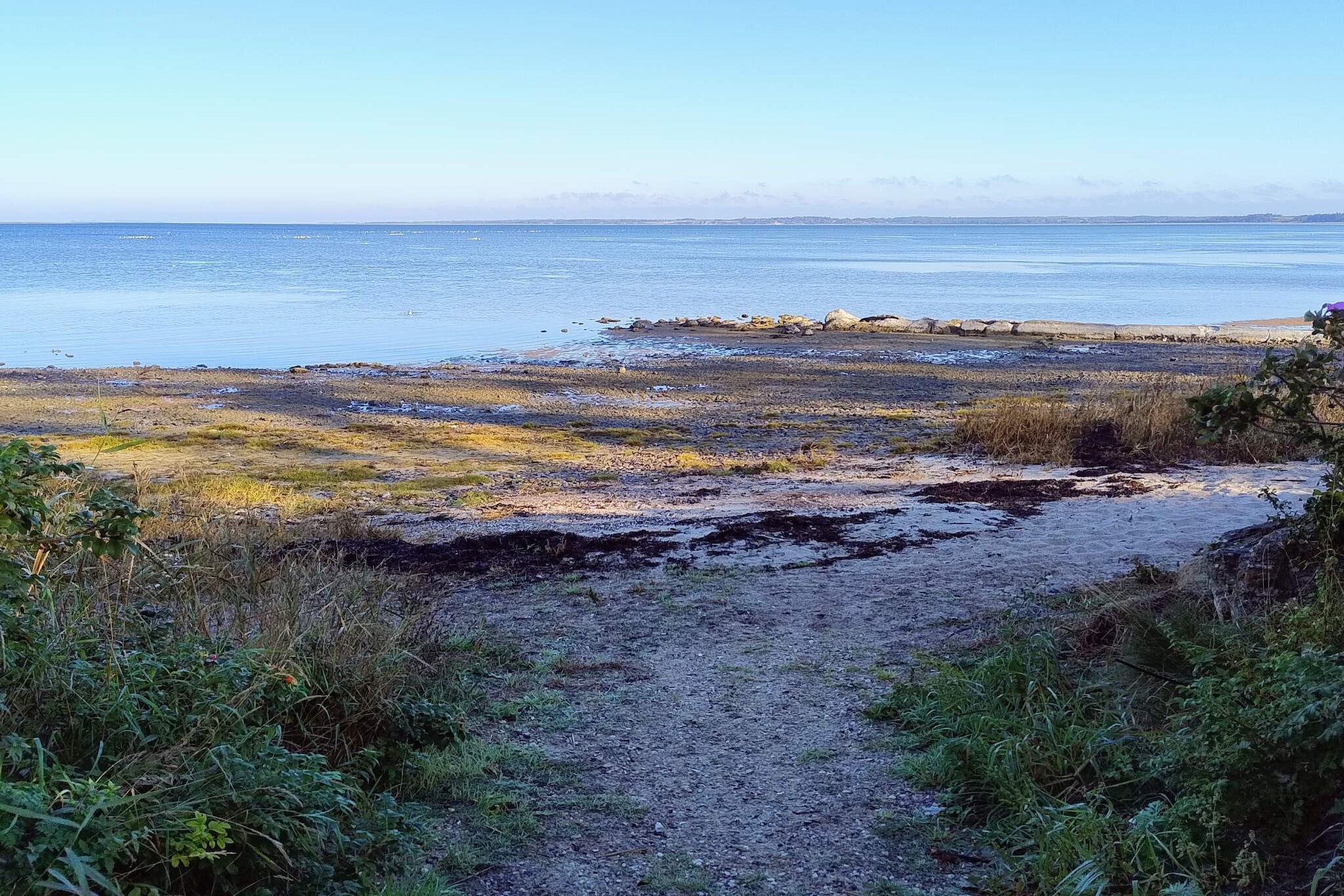 4 persoons vakantie huis in Farsø-By Traum - Waterzicht