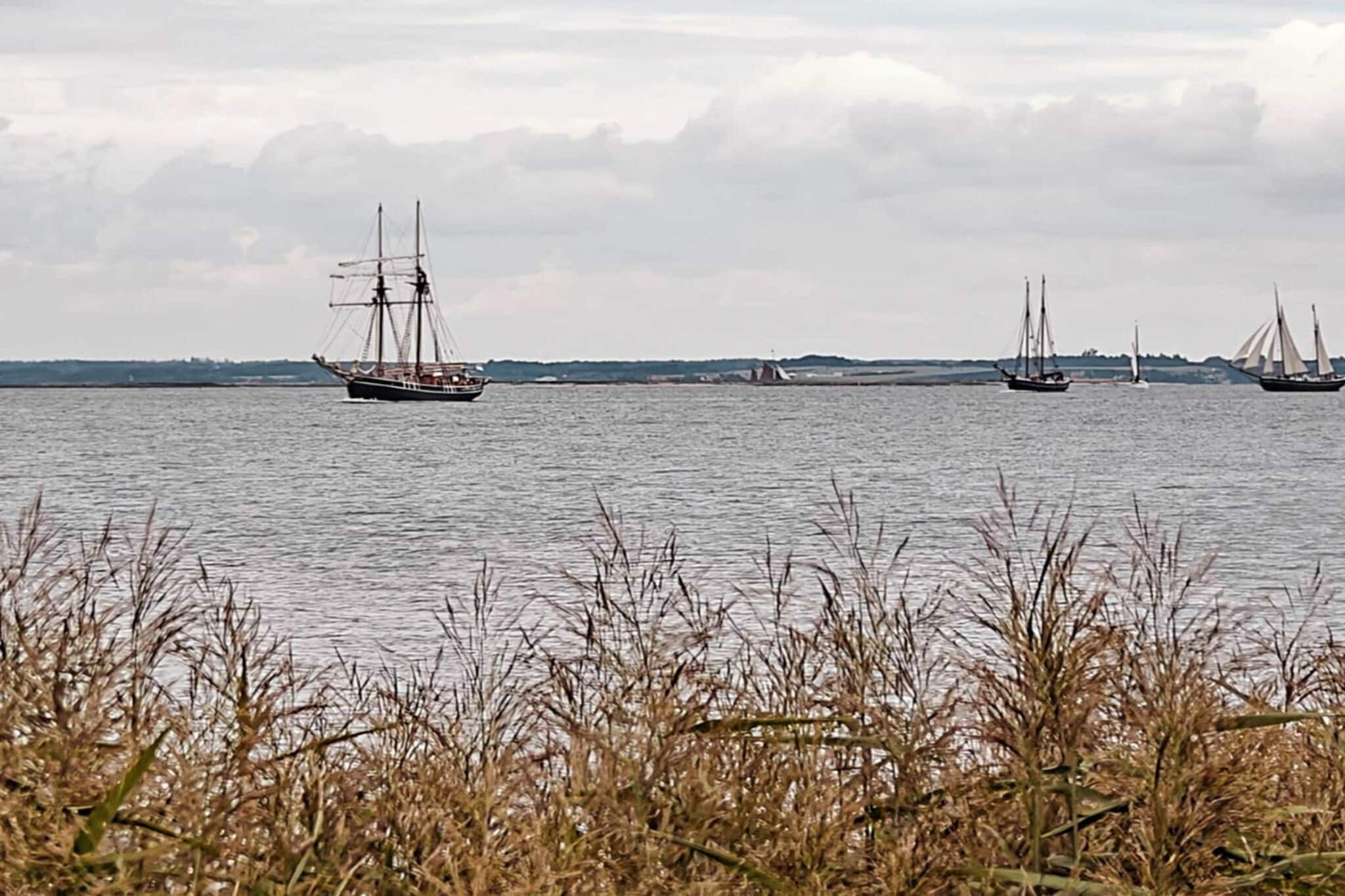 4 persoons vakantie huis in Farsø-By Traum - Uitzicht