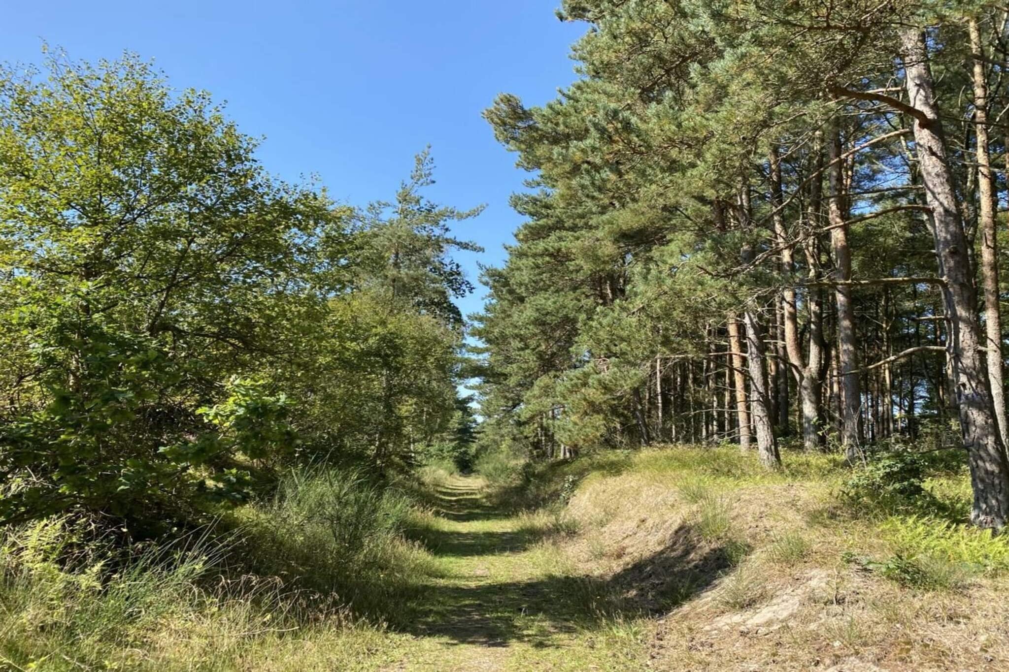 6 persoons vakantie huis in Hadsund-By Traum-Niet-getagd