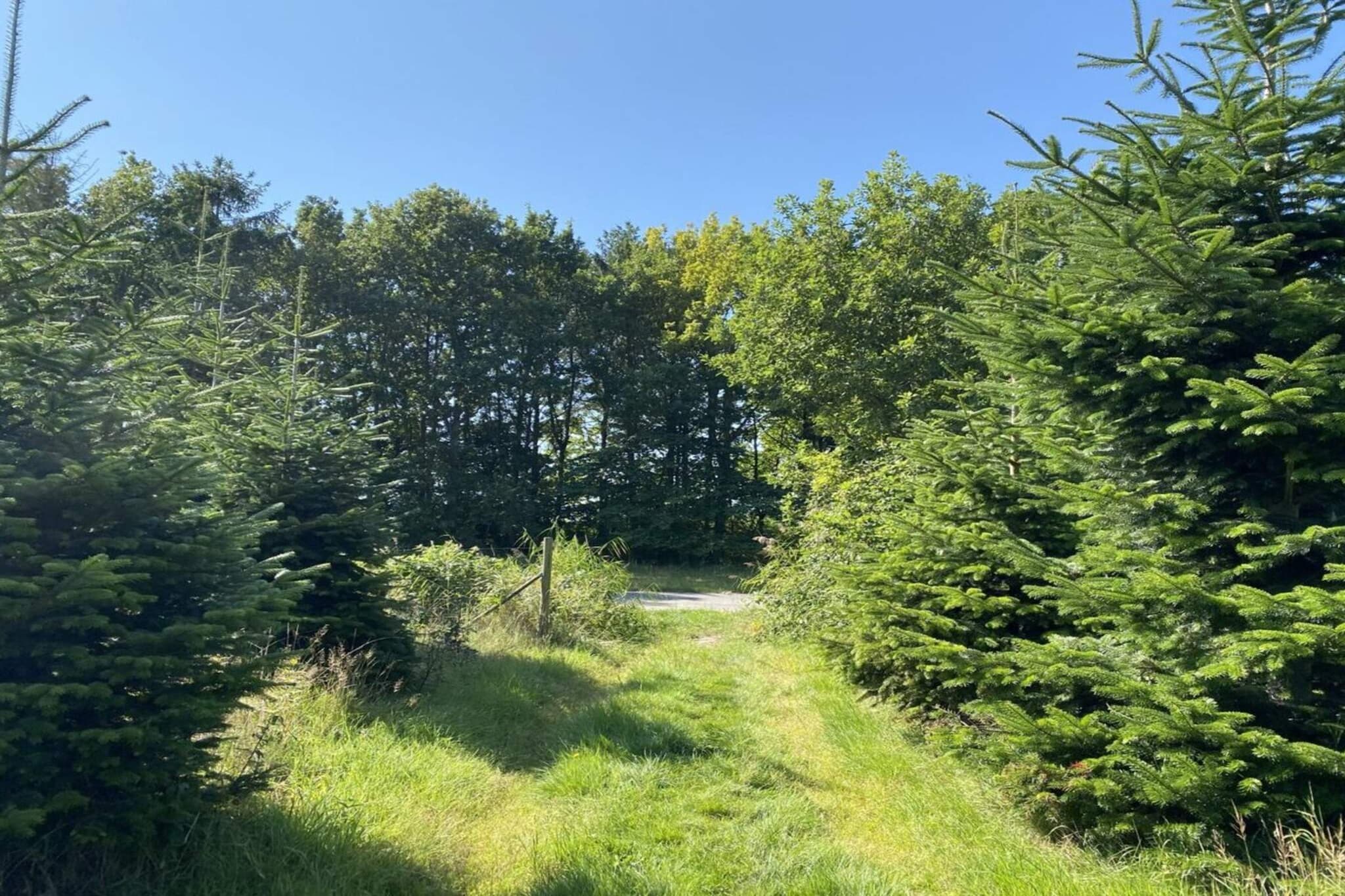 6 persoons vakantie huis in Hadsund-By Traum-Niet-getagd