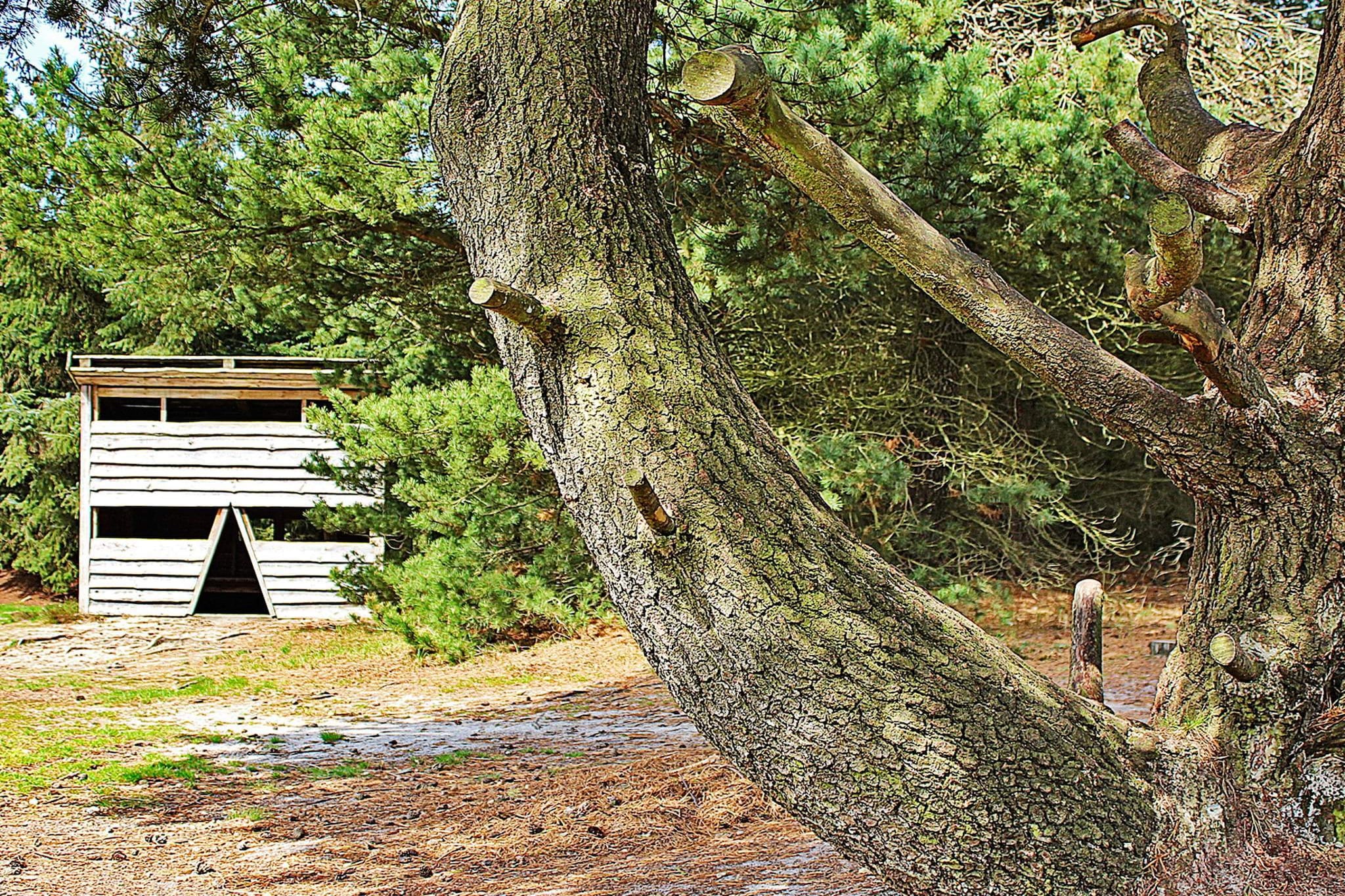 7 persoons vakantie huis in Ulfborg-By Traum - Uitzicht
