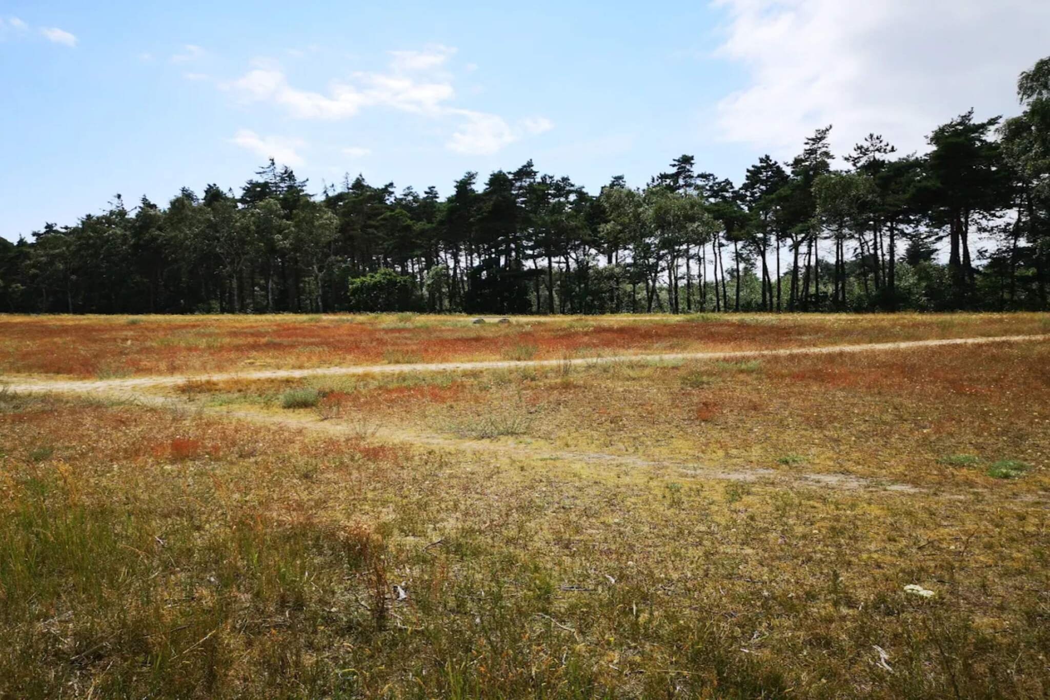 3 room,close to the sea/dike,renovate-Niet-getagd