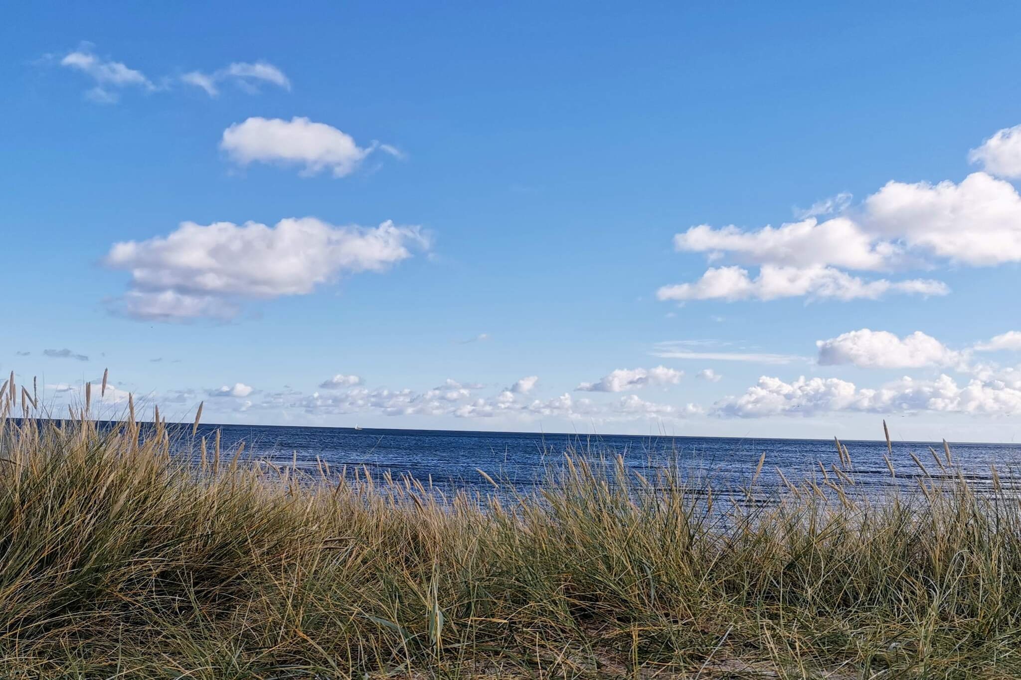 Maison de vacances pour 6 a Hals-By Traum - Vue sur l'eau
