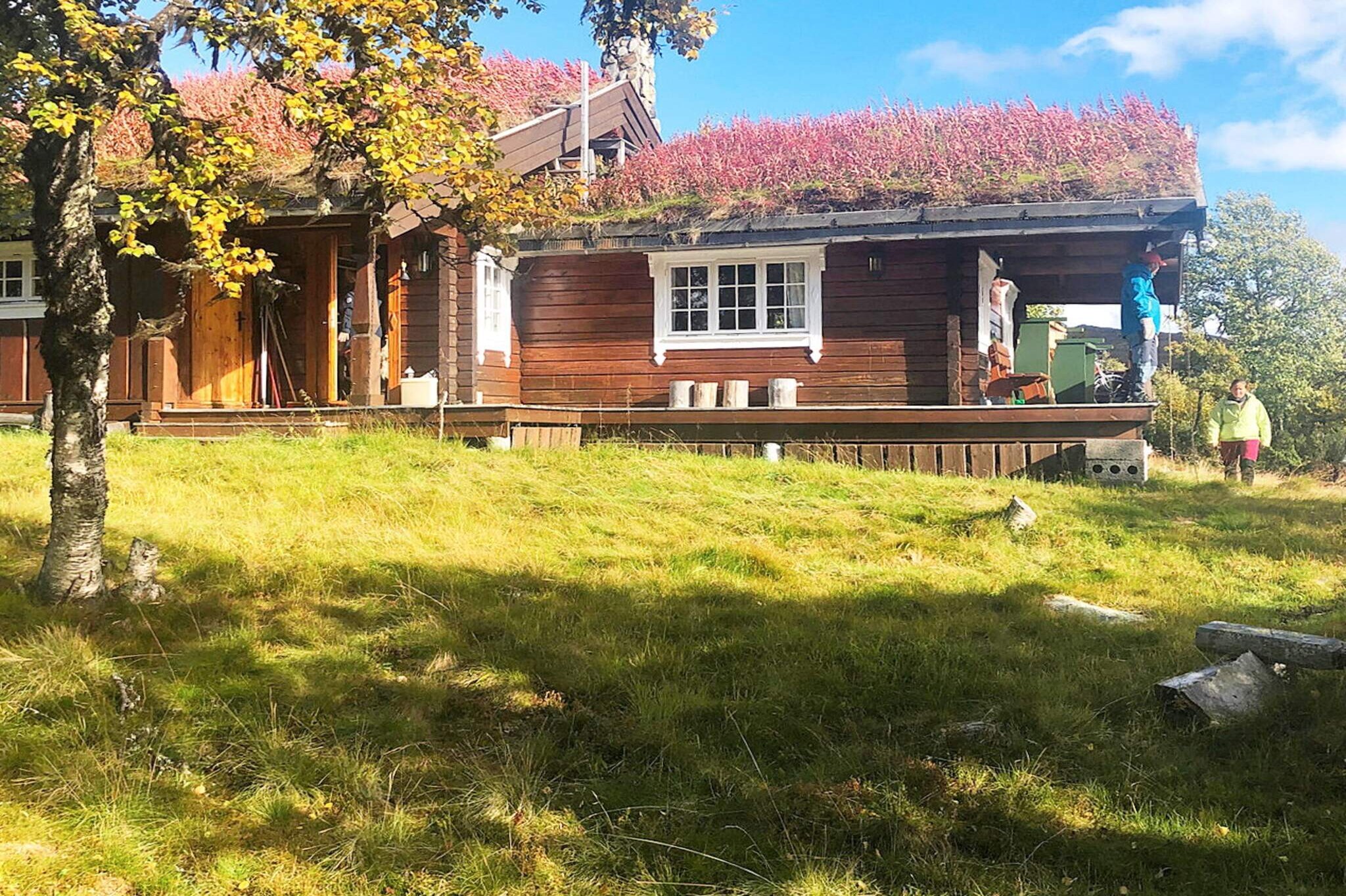 Great log cabin near Spåtind, idyllically located on a ridge 1,030 meters above sea level. View south towards Jomfruslettfjell, east towards Spåtind and Synnfjell, north towards Djuptjernkampen (Langsua National Park) and west towards Fagernes. Beautiful nature and great hiking opportunities right outside the door. Cozy family cabin, 3 bedrooms with good double beds and a loft that sleeps 2 people. There is an open living room and kitchen with a fireplace and a wood stove. Bathroom with shower and entrance to a small sauna. Terraces outside with a fire pit for grilling. 3 km to Lenningen Fjellstue with cafeteria and opportunities for skiing and cycling activities. Fjellstua is open all year round (only in weekends during summer). There are ski slopes 300 meters away, and for alpine skiing, Fagernes is 50 km away. Many fishing lakes in the area. At Røsjøen, there are facilities for fishing for wheelchair users. Several small lakes you can swim in within walking distance of the cabin. The area has plenty of berries and mushrooms. Rich wildlife: if you're lucky, you can see deer in the area. Possibility of great day trips to Valdres Folkemuseum or Valdres Nature and Culture Park. Not rented out to youth groups. Guests will need to bring their own bed linen and clean on departure.