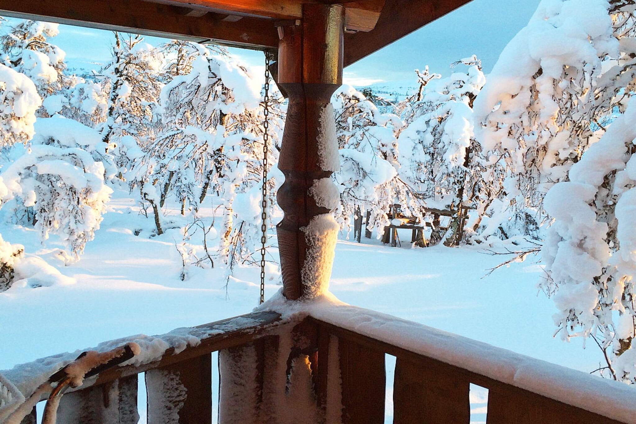 open kitchen(cooker(electric), hood, coffee machine(filter), microwave, fridge(+ freezer)), Living/bed room(40 m2)(TV(satellite, norvegian TV channels ), fireplace, radio, chromecast), bedroom(double bed), bedroom(double bed), bedroom(double bed), bathroom(floor heating)(bathtub or shower, washbasin, toilet), mezzanine(2x single bed), sauna(indoor, 2 persons), balcony or terrace, heating(electric), terrace(15 m2), terrace(roofed, 15 m2), terrace, garden furniture, BBQ, parking