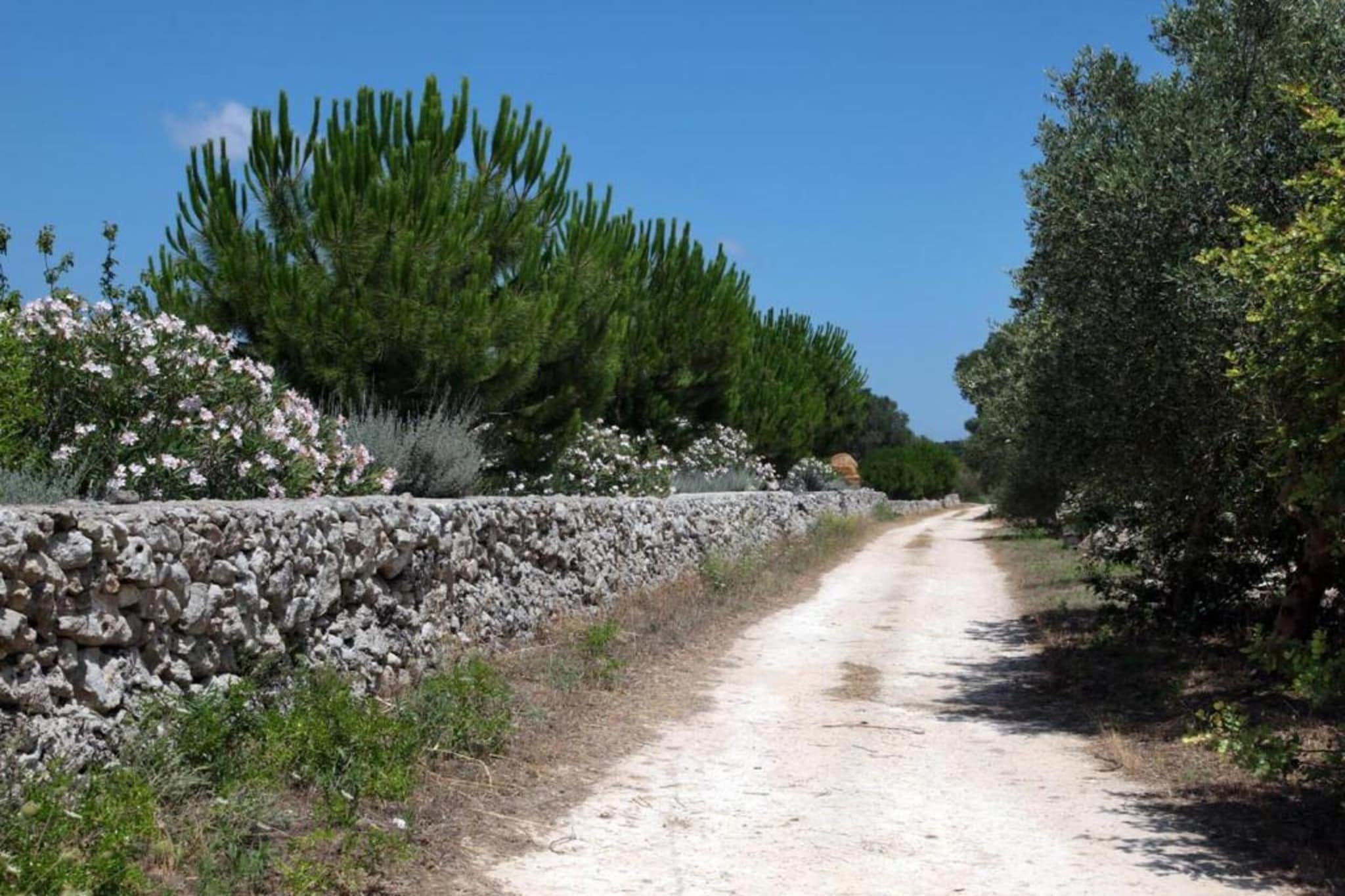 Villa Bruni-Gebieden zomer 20km