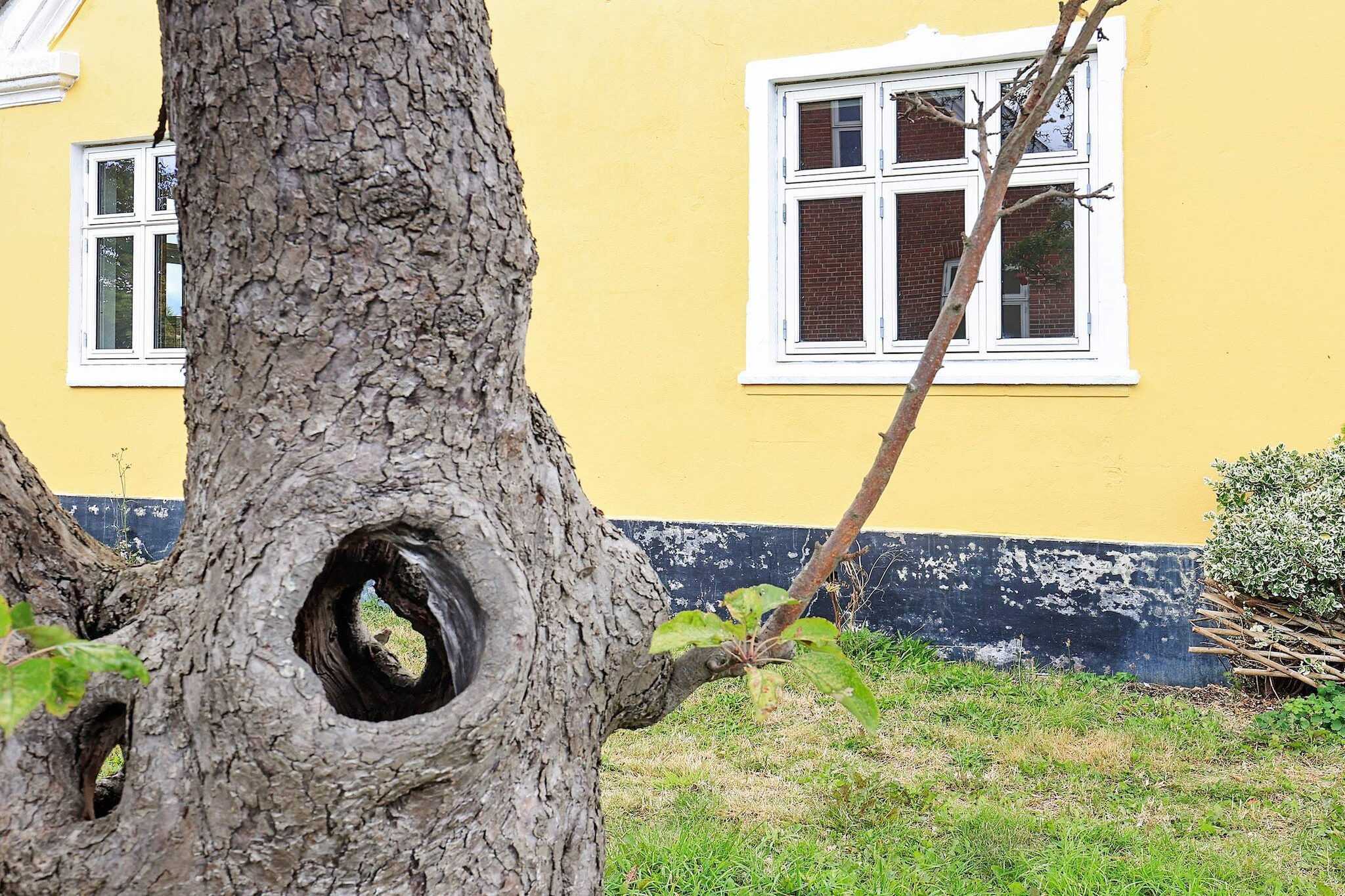 6 persoons vakantie huis in Rudkøbing-By Traum - Uitzicht