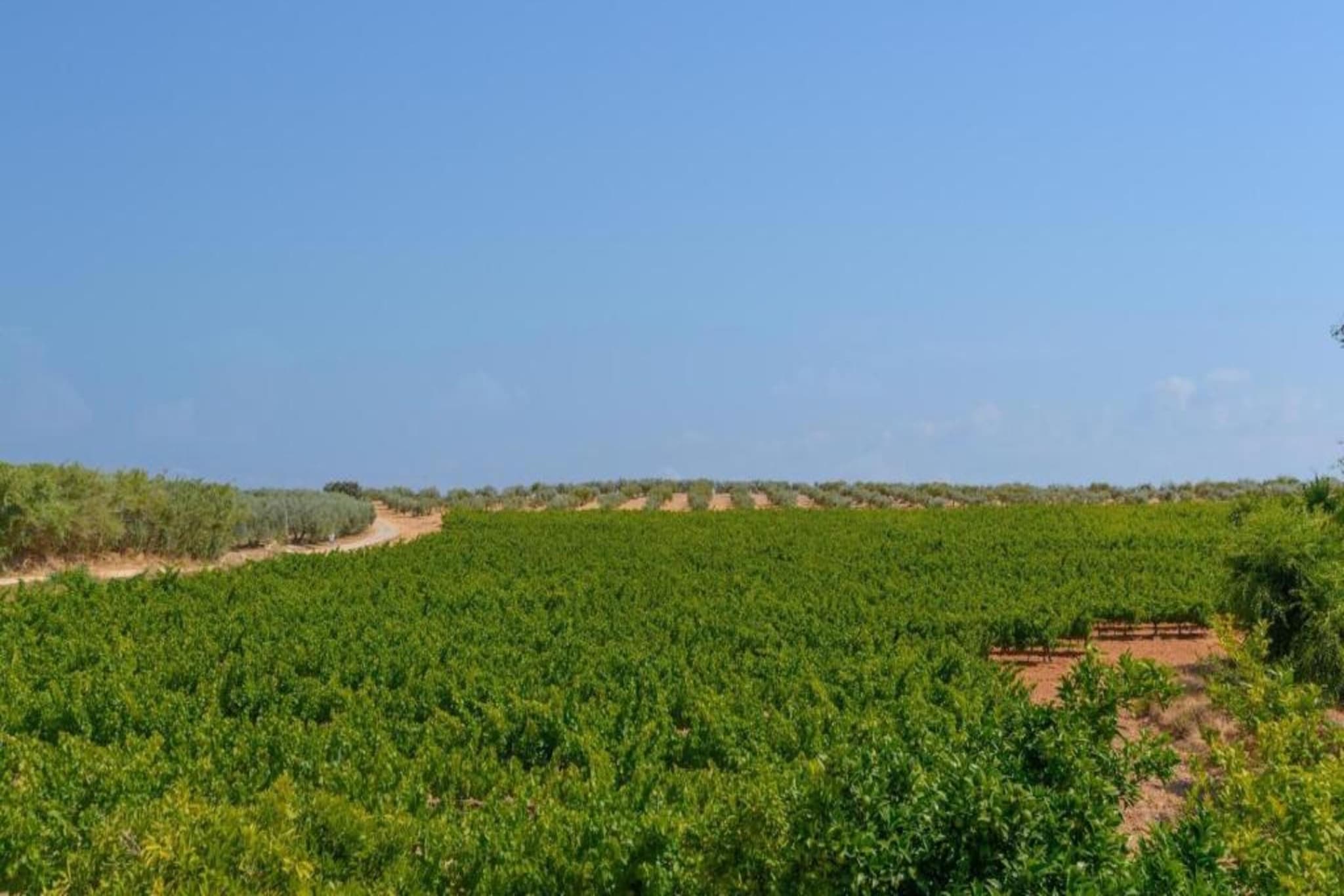 Piso confortable en Montilla-Gebiete Sommer 20 km