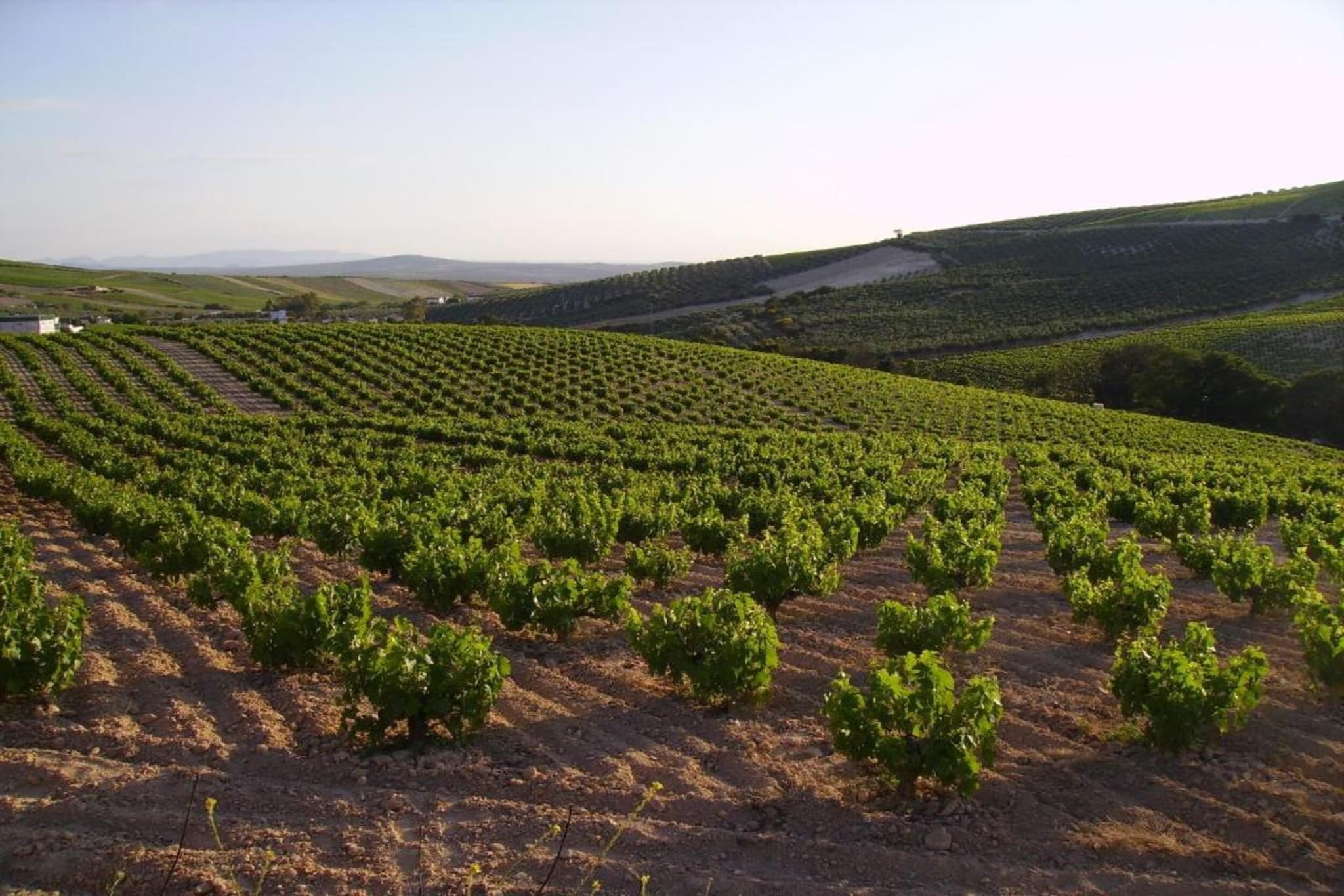 Piso confortable en Montilla-Gebiete Sommer 20 km