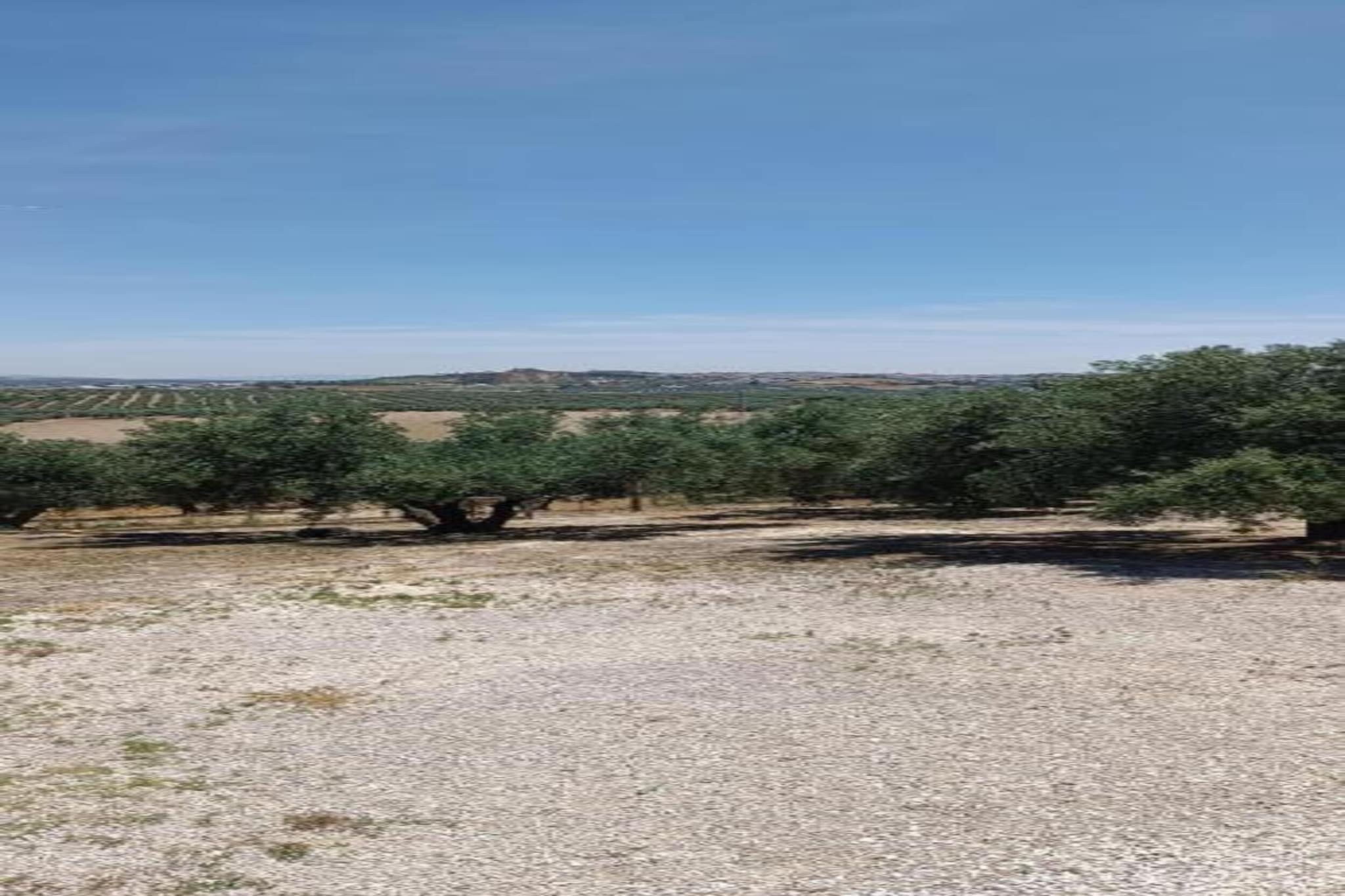 Piso confortable en Montilla-Gebiete Sommer 20 km