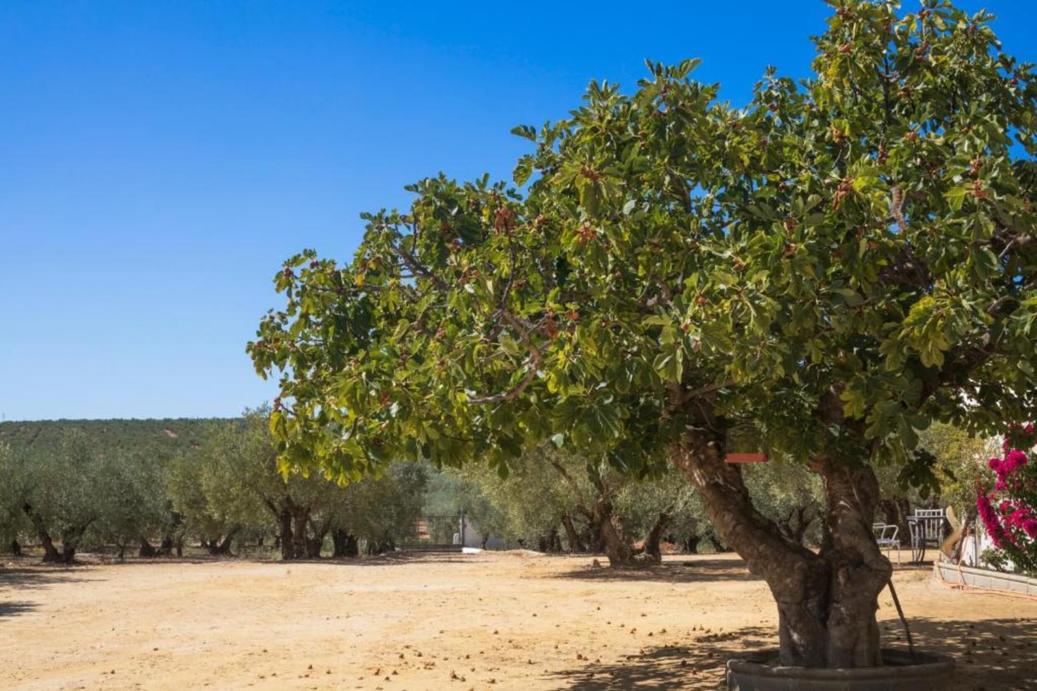 Piso confortable en Montilla-Gebiete Sommer 20 km