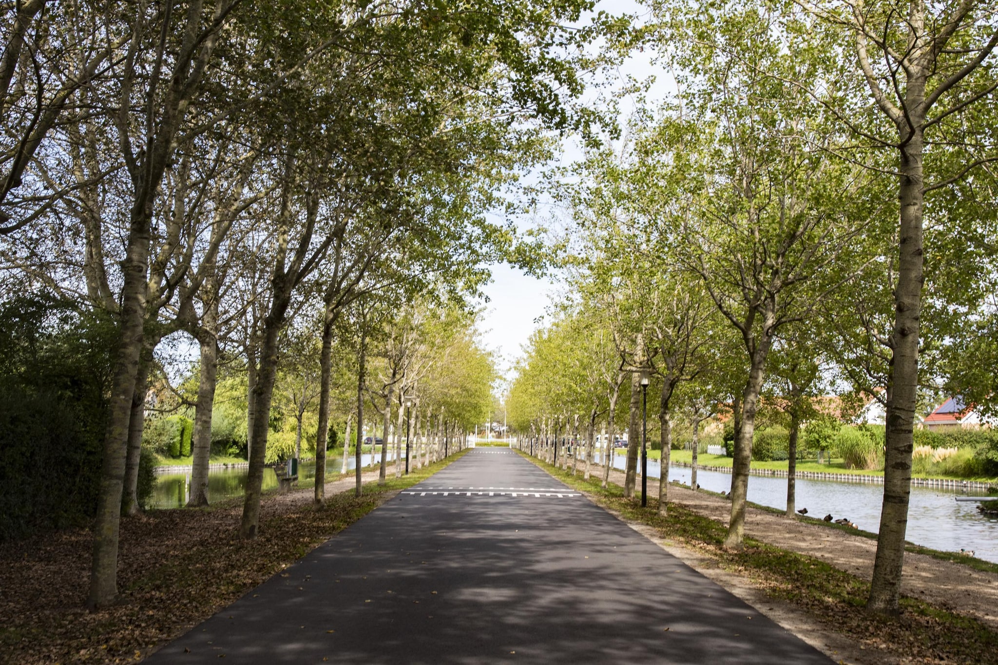 Park Facilities