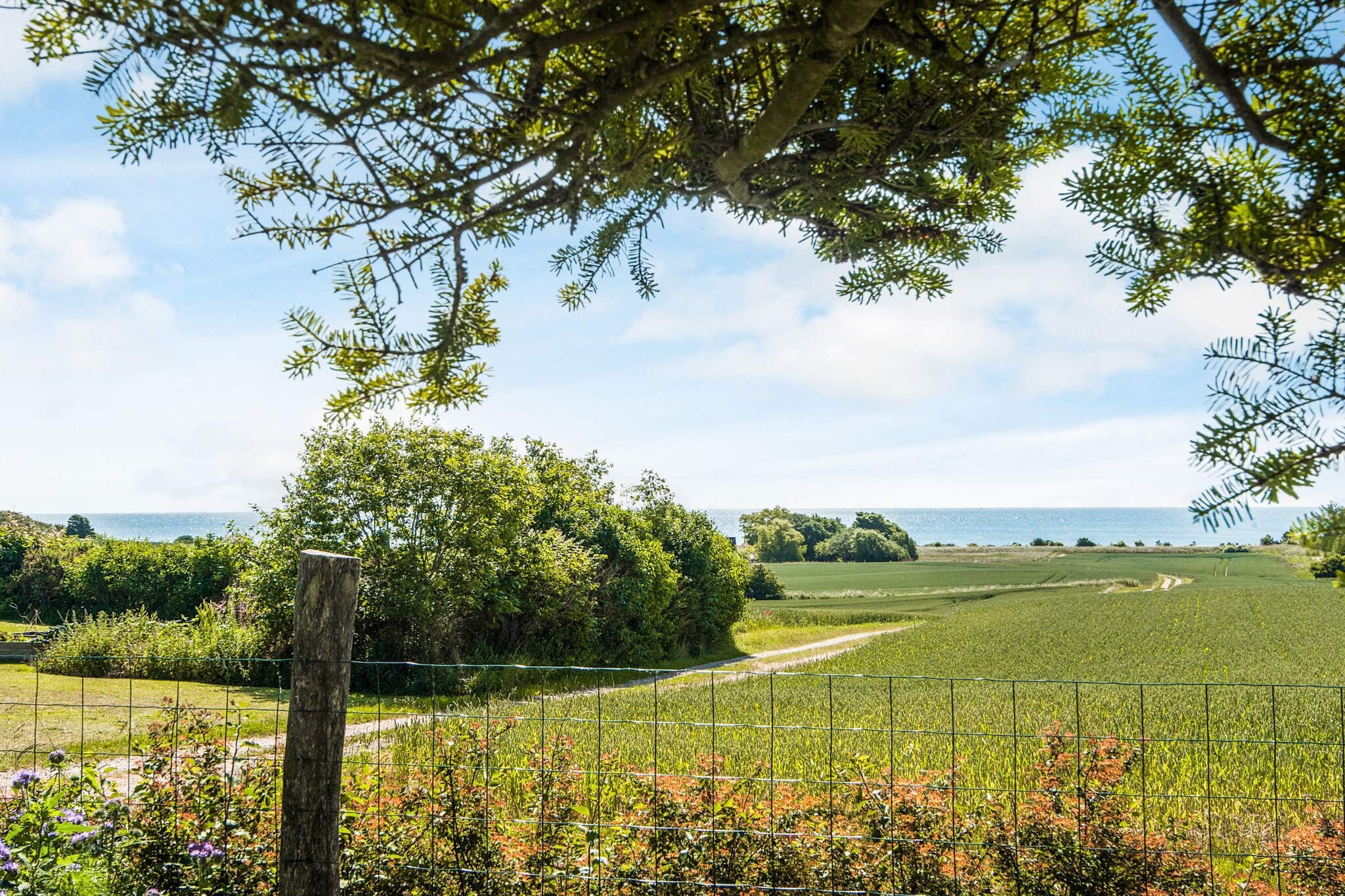 6 persoons vakantie huis in Ebeltoft-Waterzicht