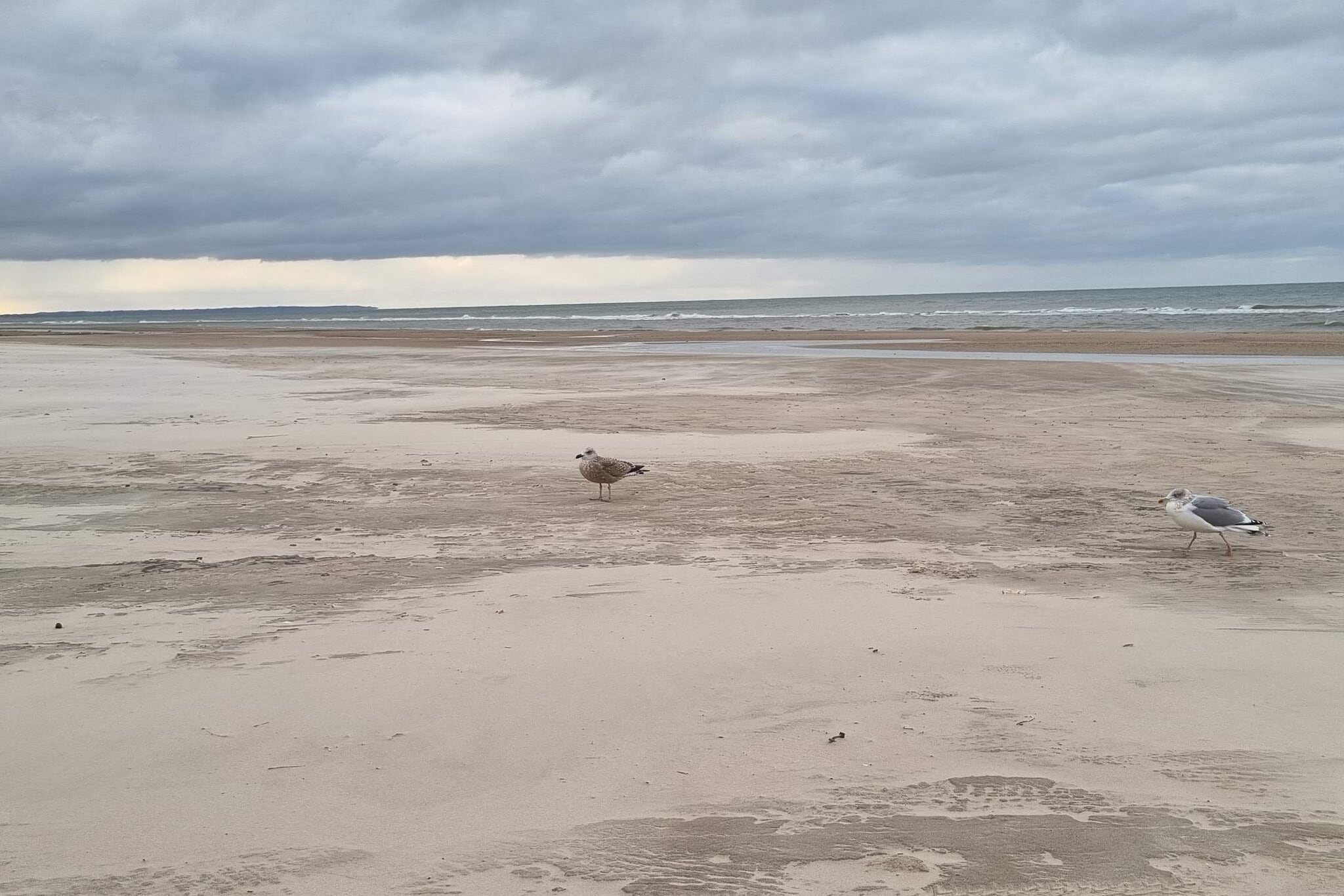 Gezellig huisje nabij Blokhus -- By Traum Ferienwohnungen-Waterzicht
