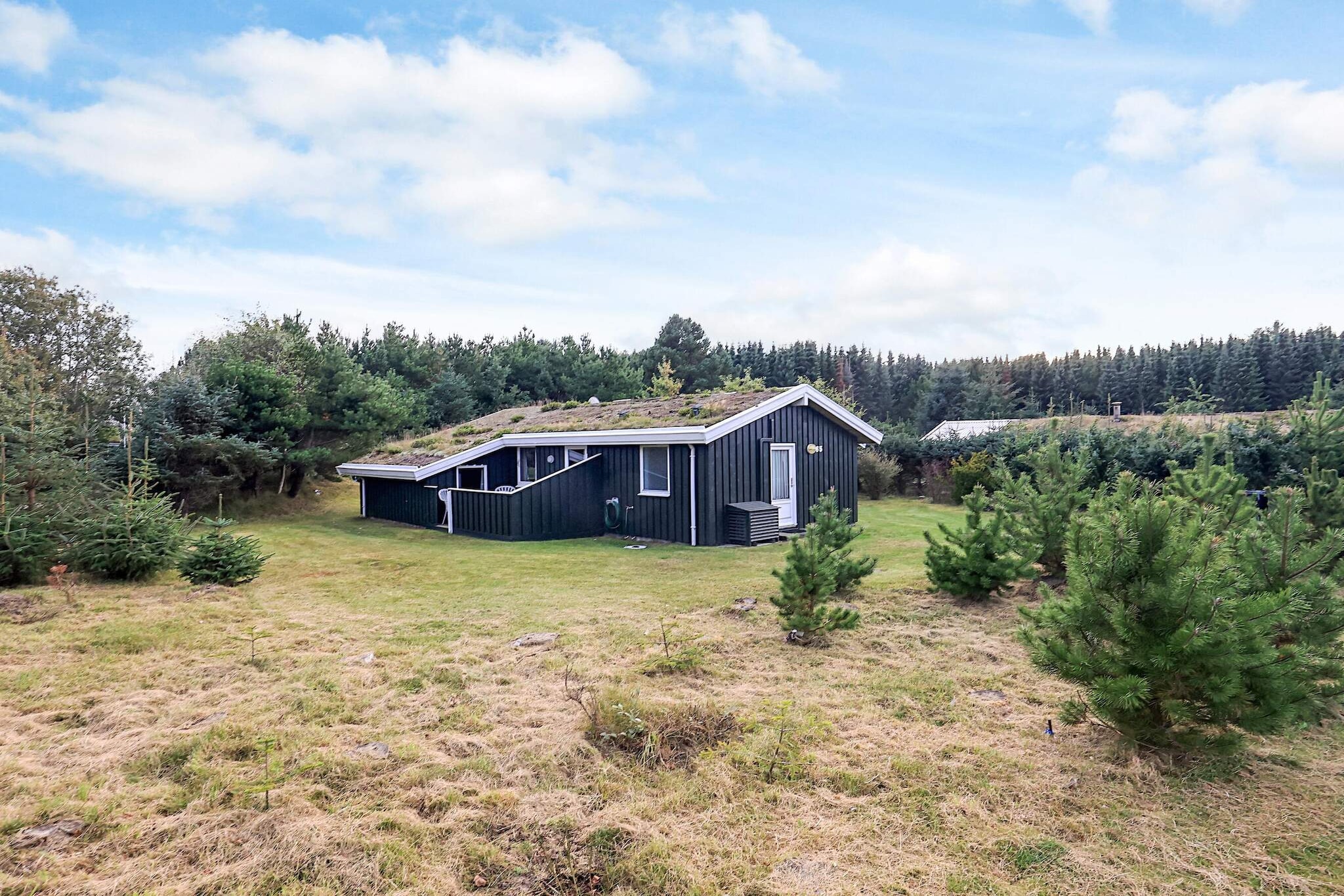 Cozy Cottage near Blokhus - View