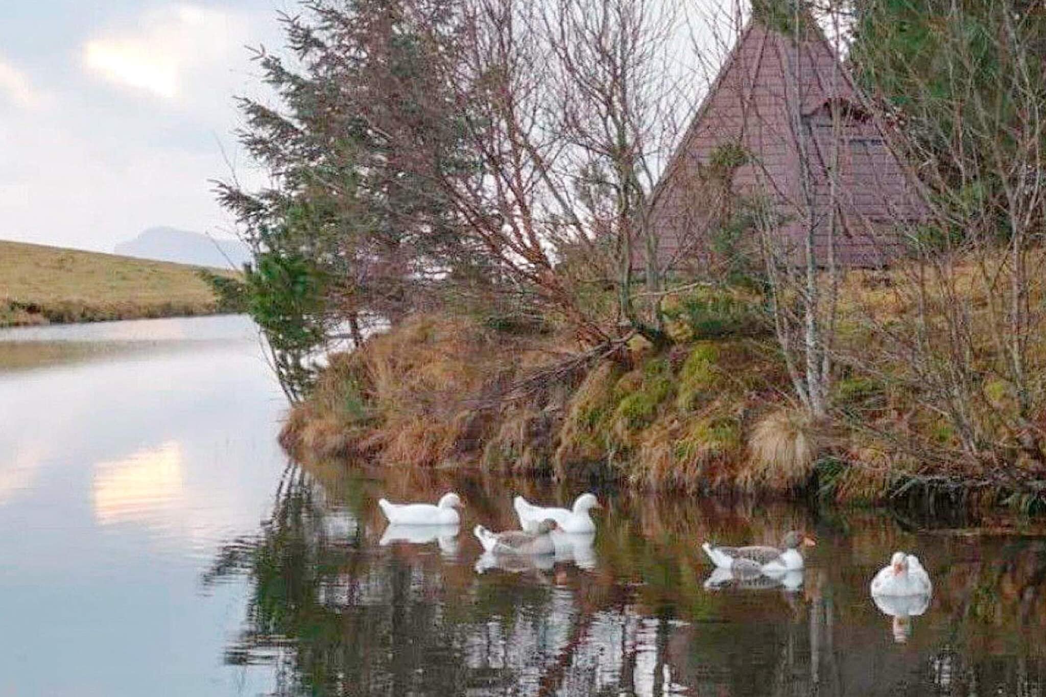 6 Personen Ferienhaus in Tansøy-By Traum - Nicht zugeordnet
