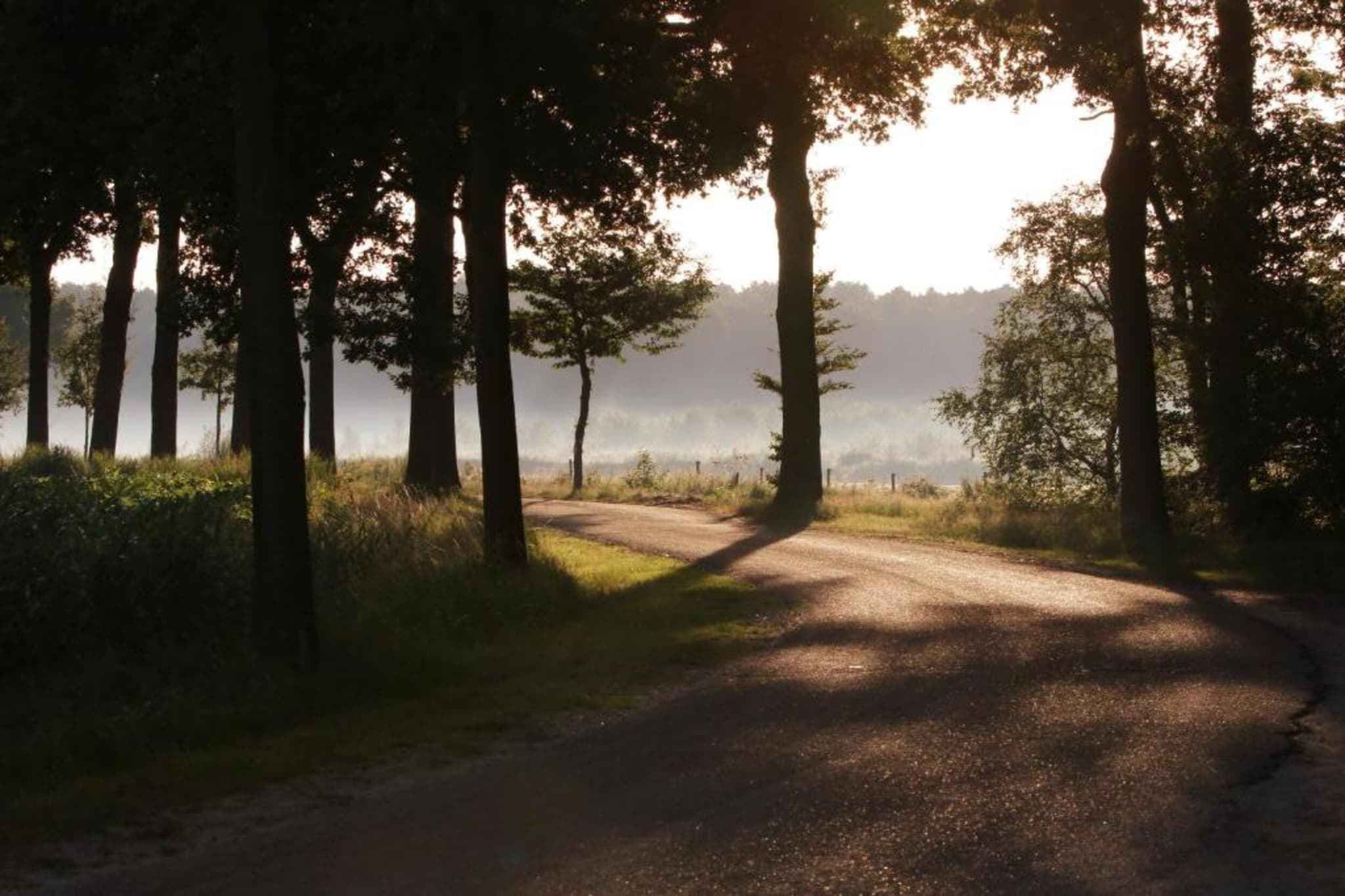 Vakantiepark De Heihorsten 6-Gebieden zomer 5km