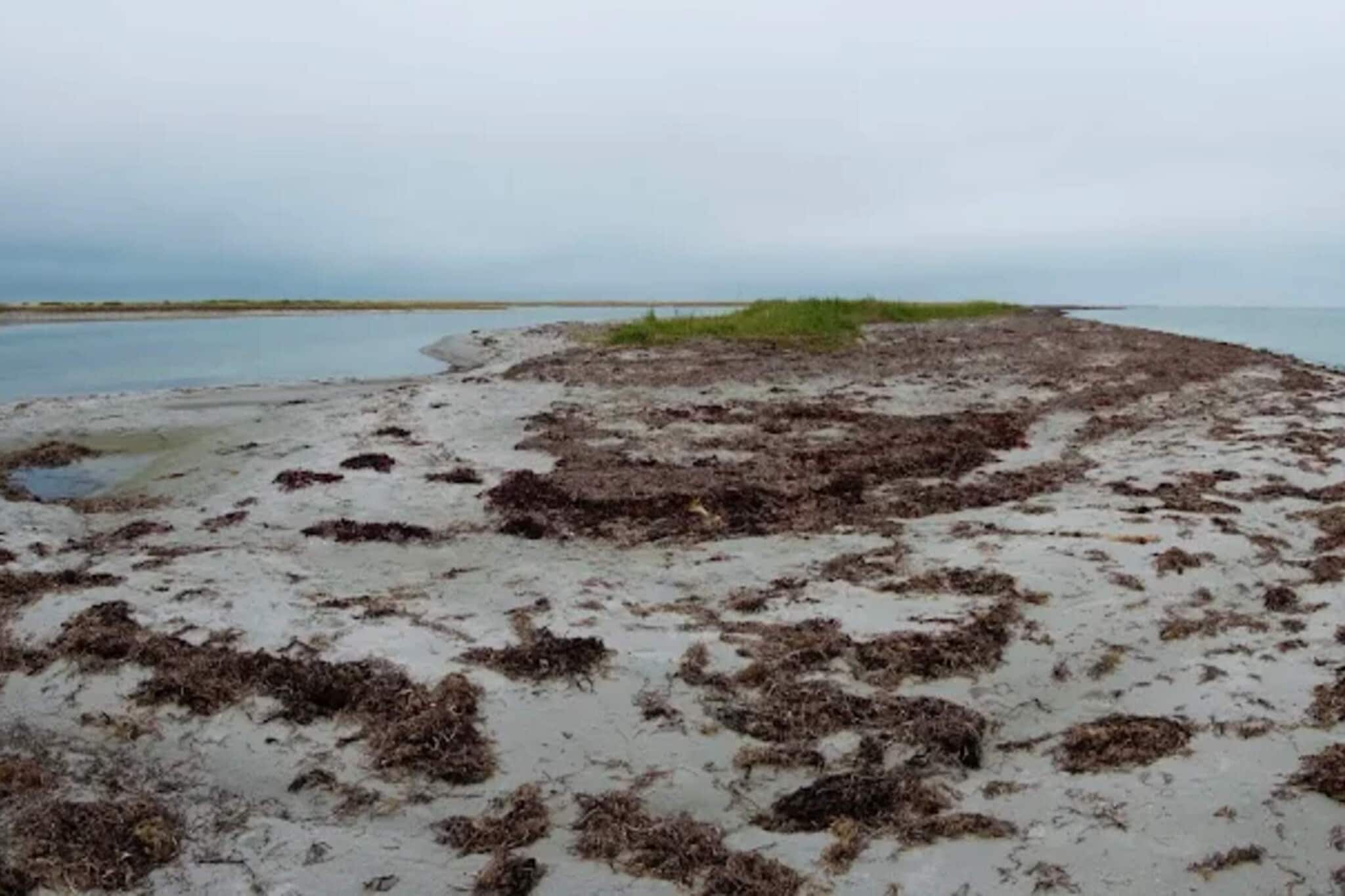 6 persoons vakantie huis in Læsø-By Traum-Waterzicht
