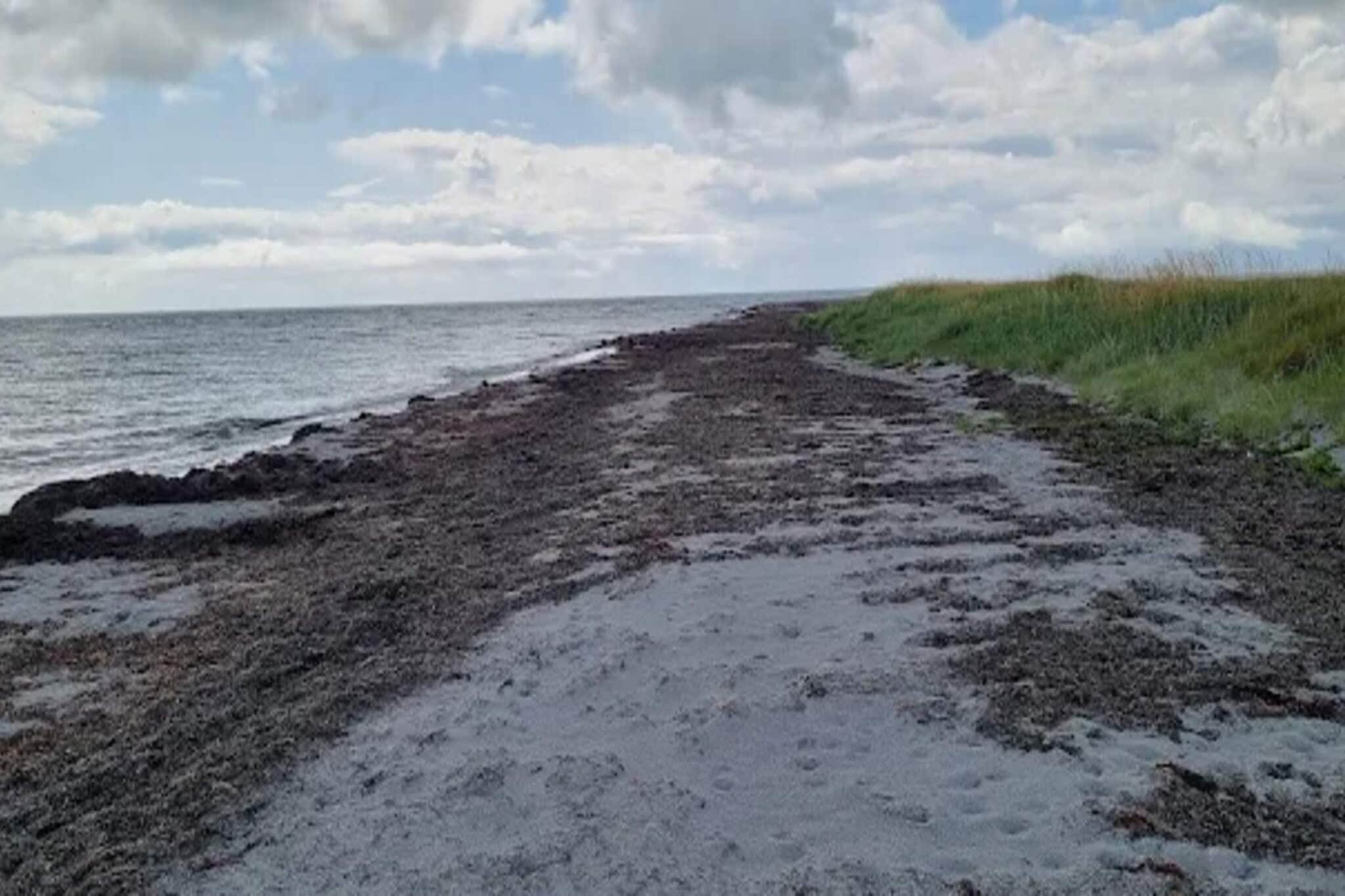 6 persoons vakantie huis in Læsø-By Traum-Waterzicht