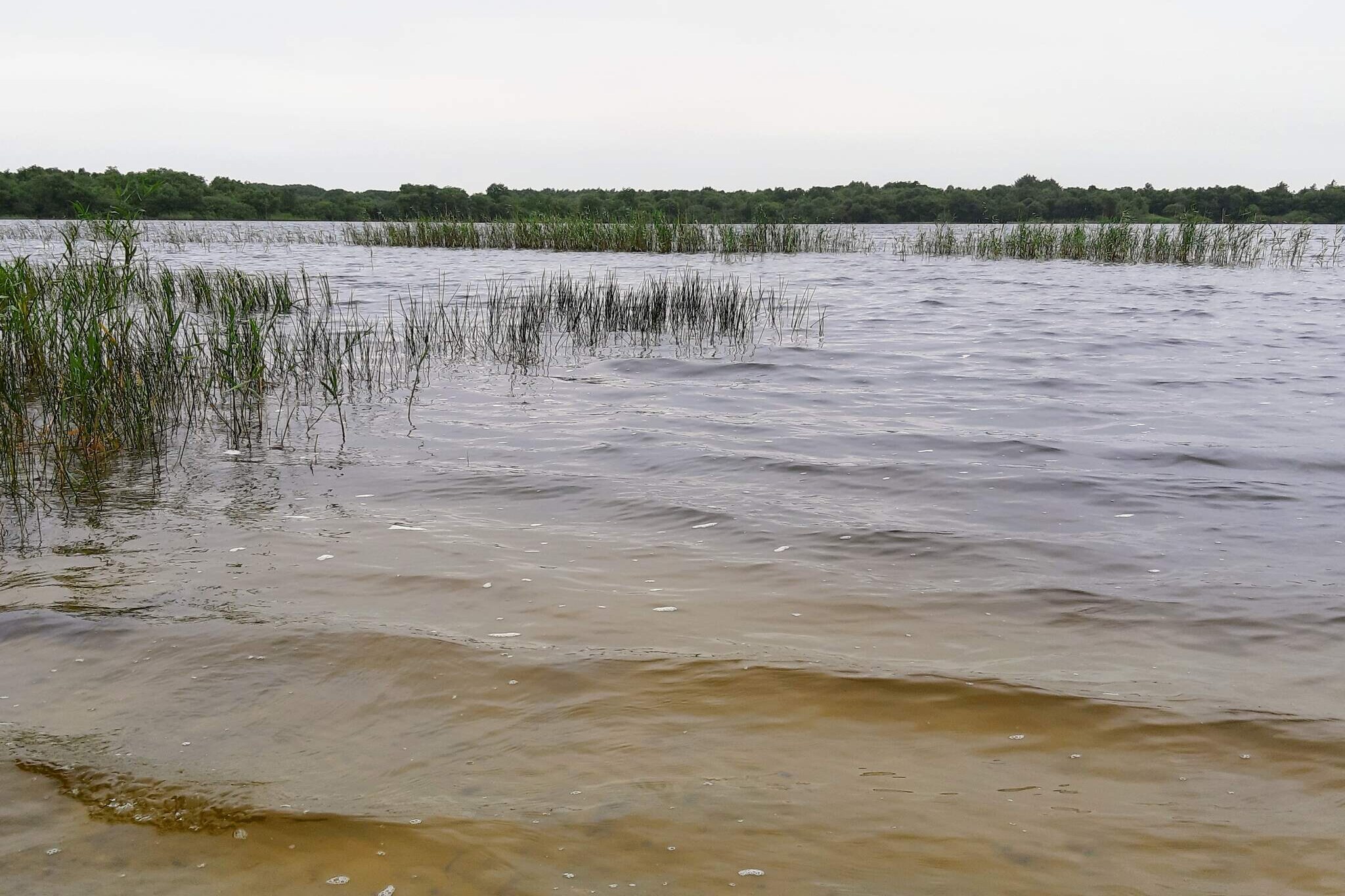 5 persoons vakantie huis in Ansager-By Traum-Waterzicht