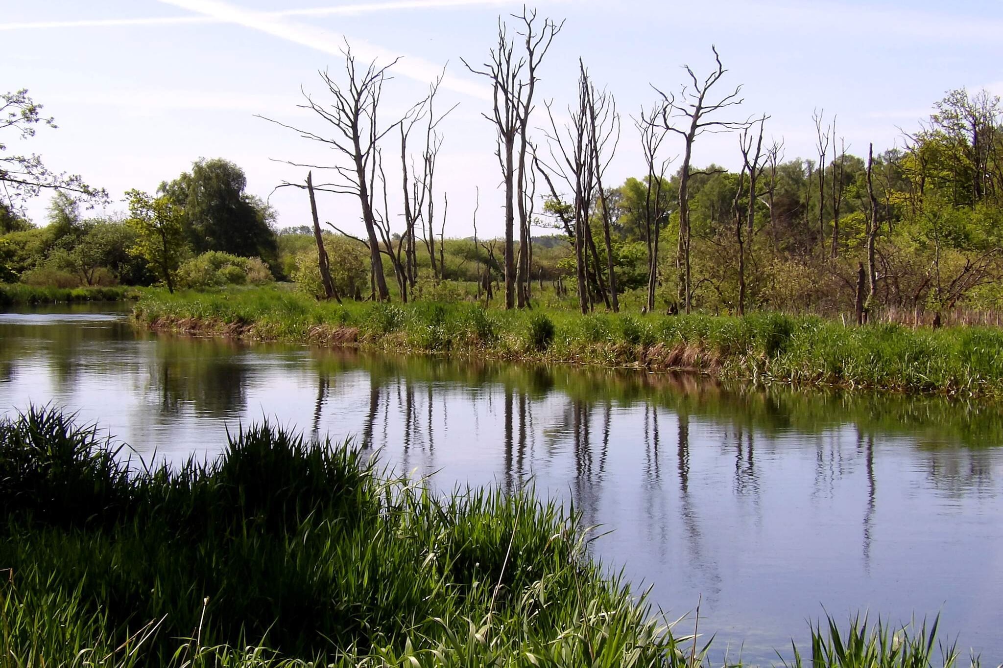 5 person holiday home in Fårvang-By Traum-Water view