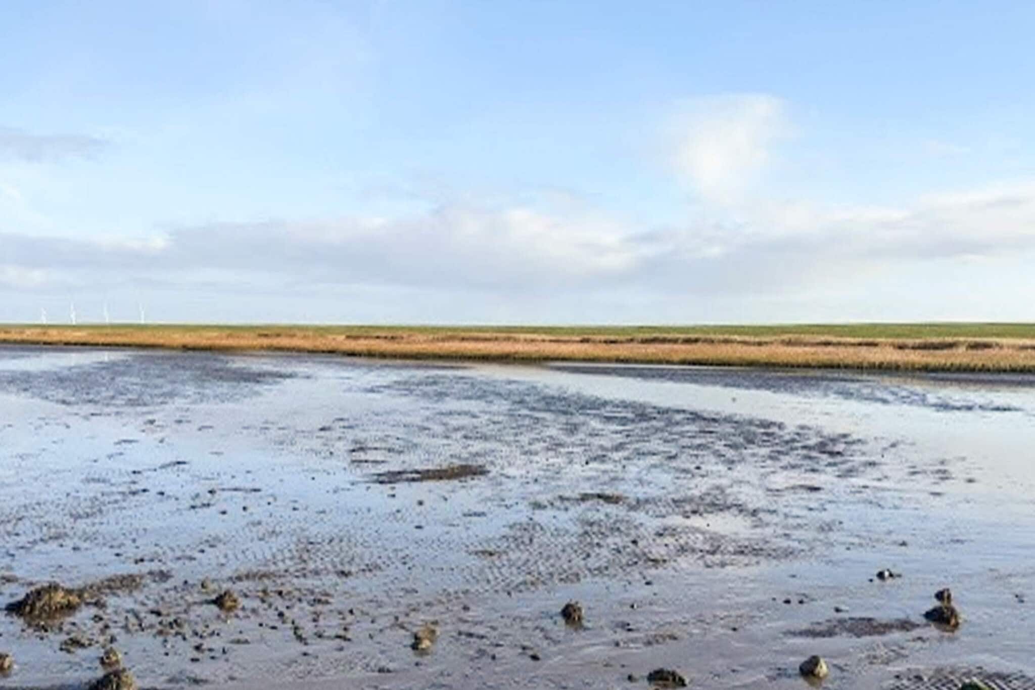 Panoramisch kustverblijf -- By Traum Ferienwohnungen-Waterzicht