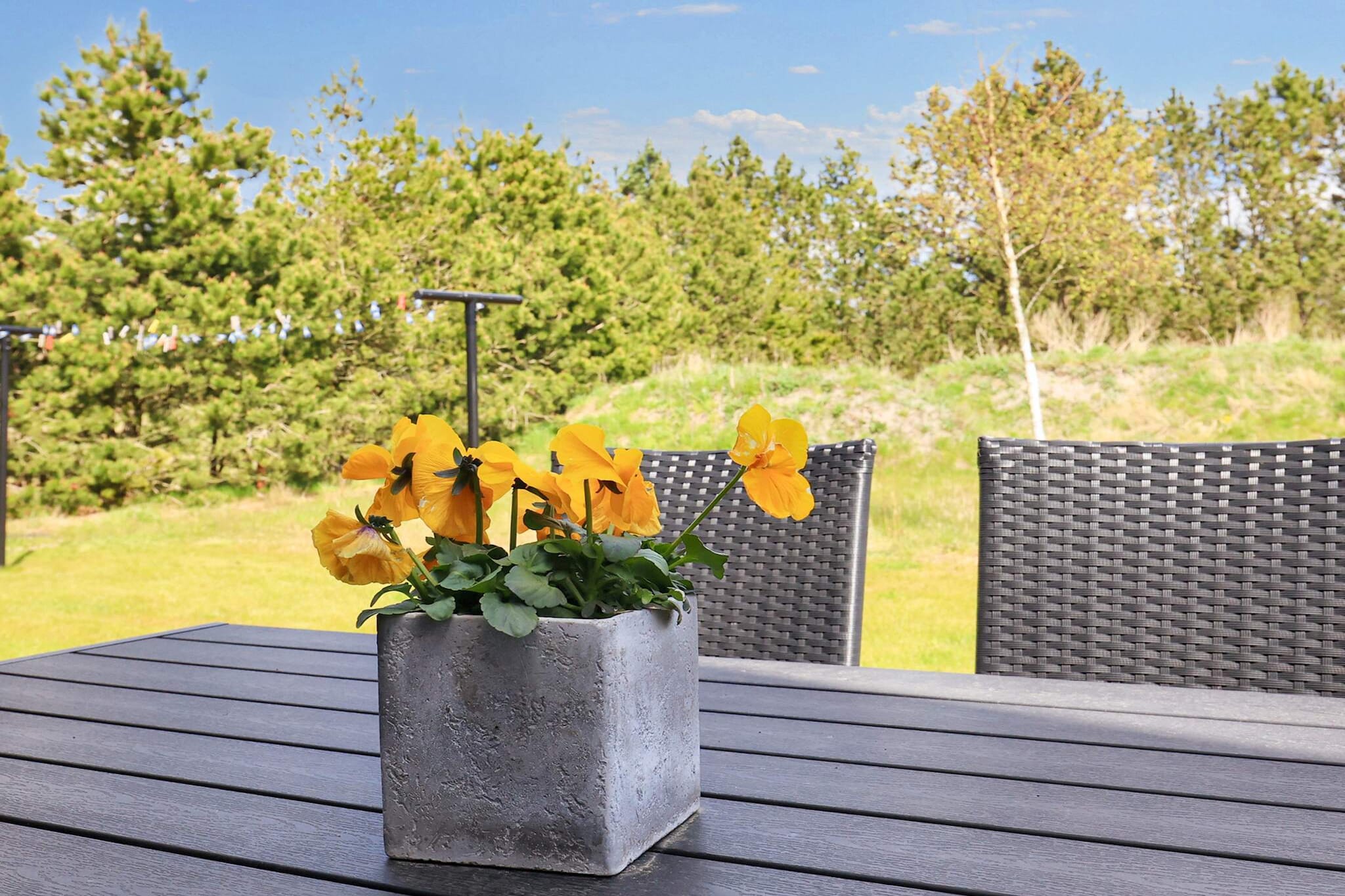 10 persoons vakantie huis in Jerup-By Traum - Uitzicht