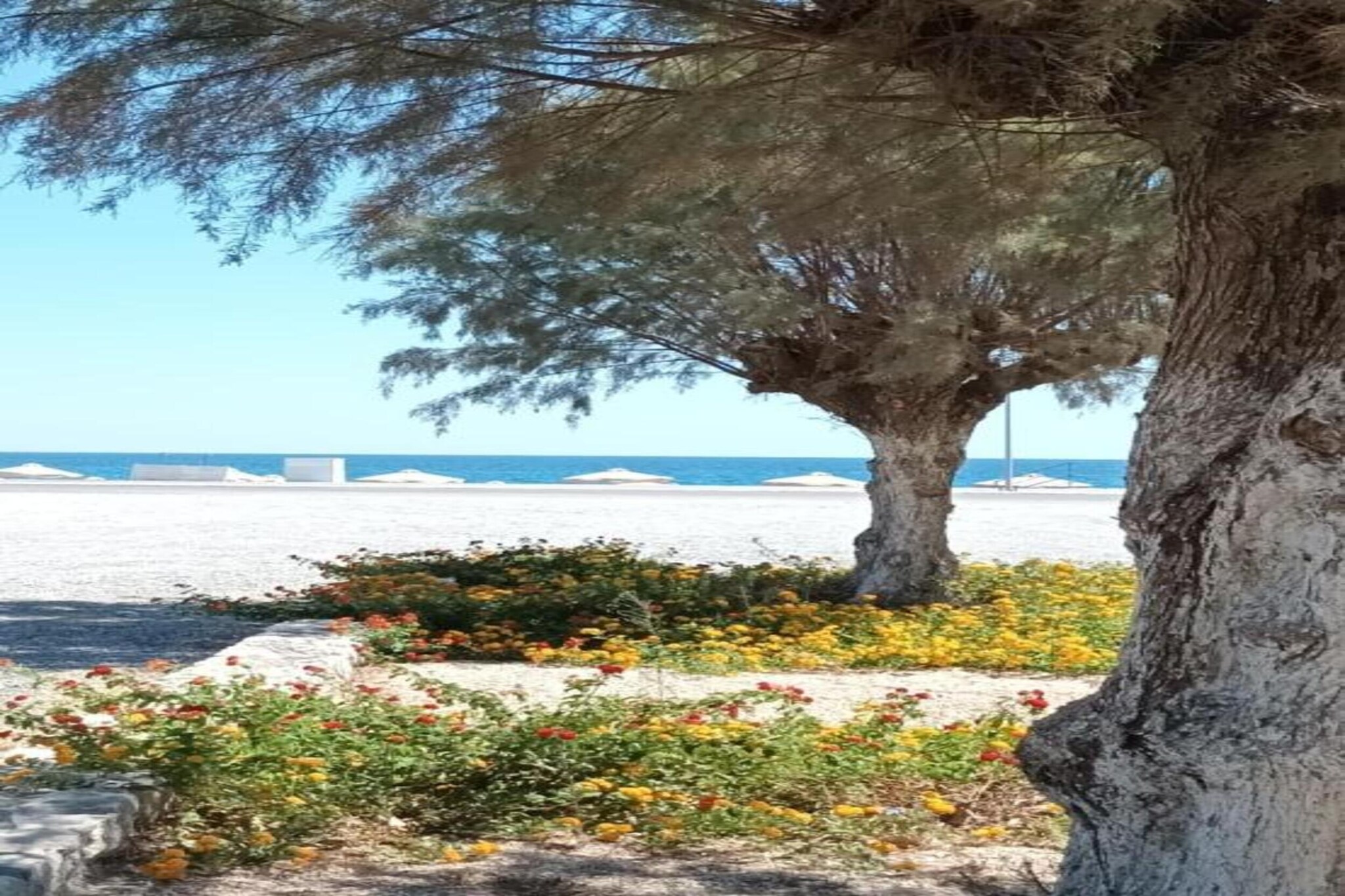 Emarmene Country Home-Gebieden zomer 5km
