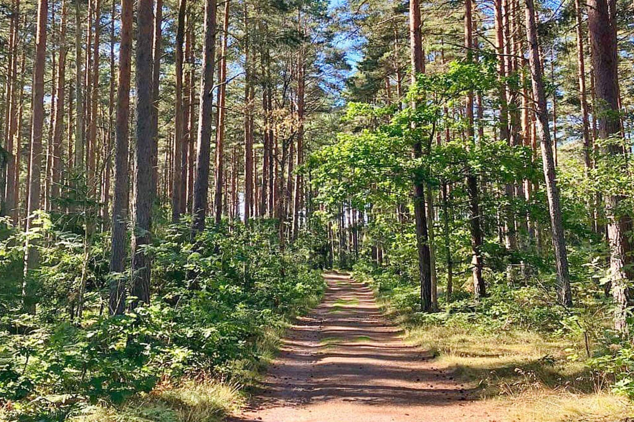 6 persoons vakantie huis in ROCKNEBY-By Traum - Niet-getagd