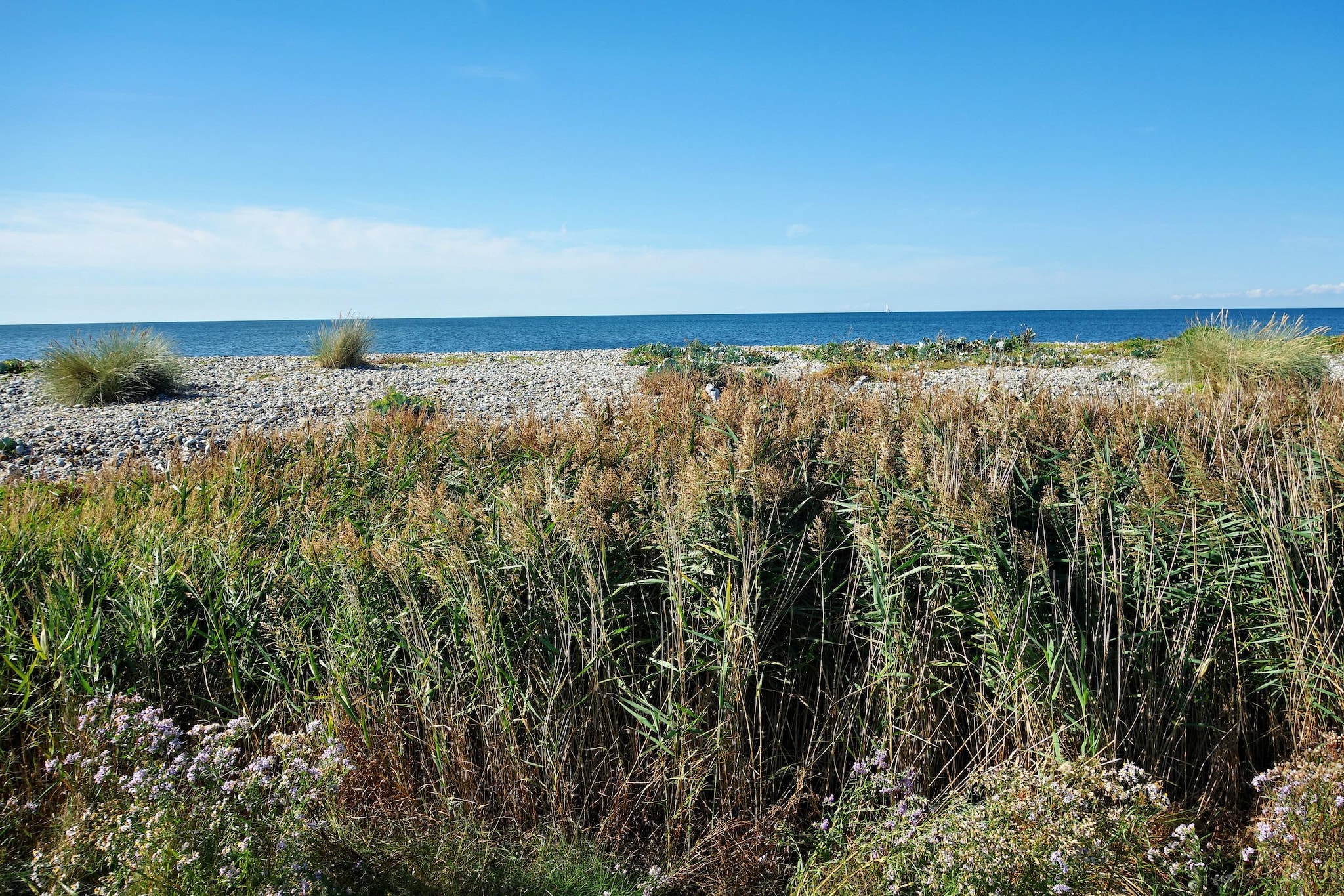 Inselresort Columbus-Gebiete Sommer 5 km