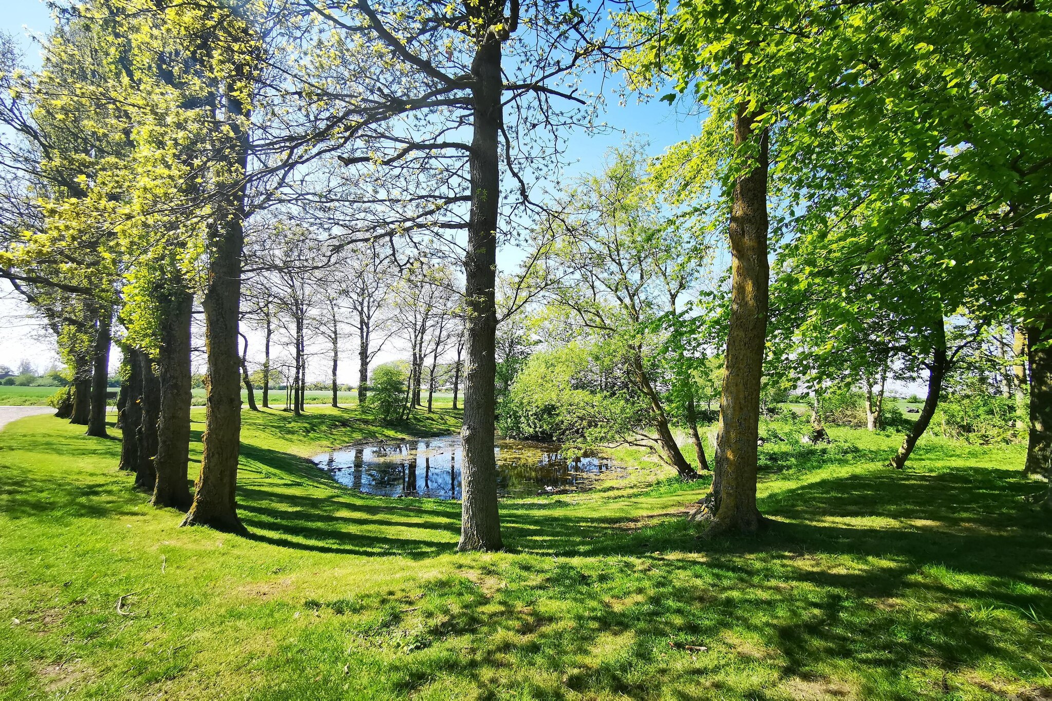 Inselresort Columbus-Gebiete Sommer 5 km