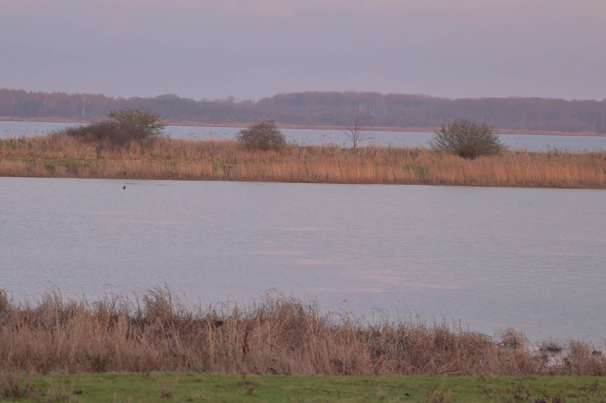 8 persoons vakantie huis in Sakskøbing-By Traum-Waterzicht