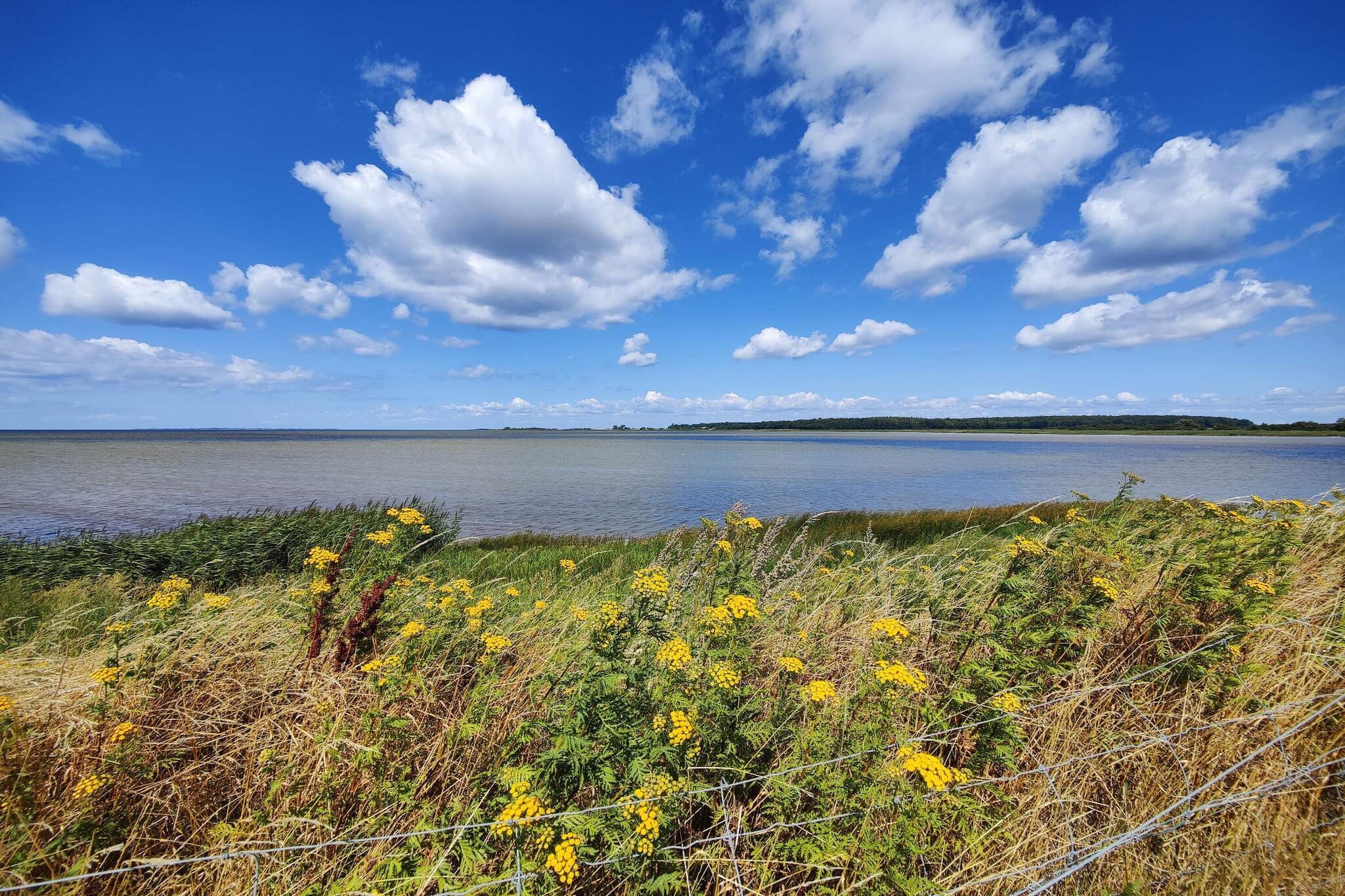 8 persoons vakantie huis in Sakskøbing-By Traum-Waterzicht