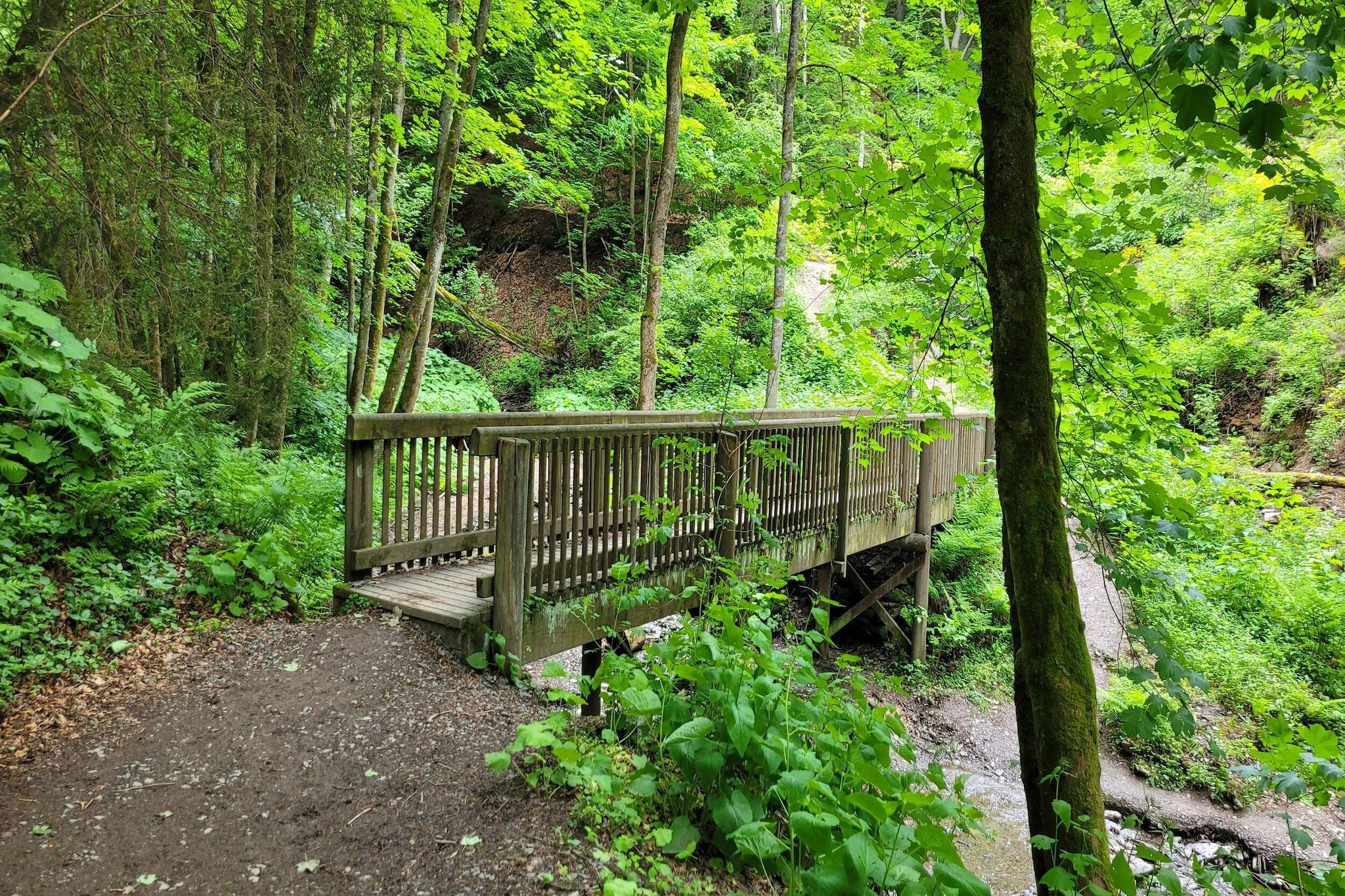 Am Südhang 11-Gebieden zomer 1km