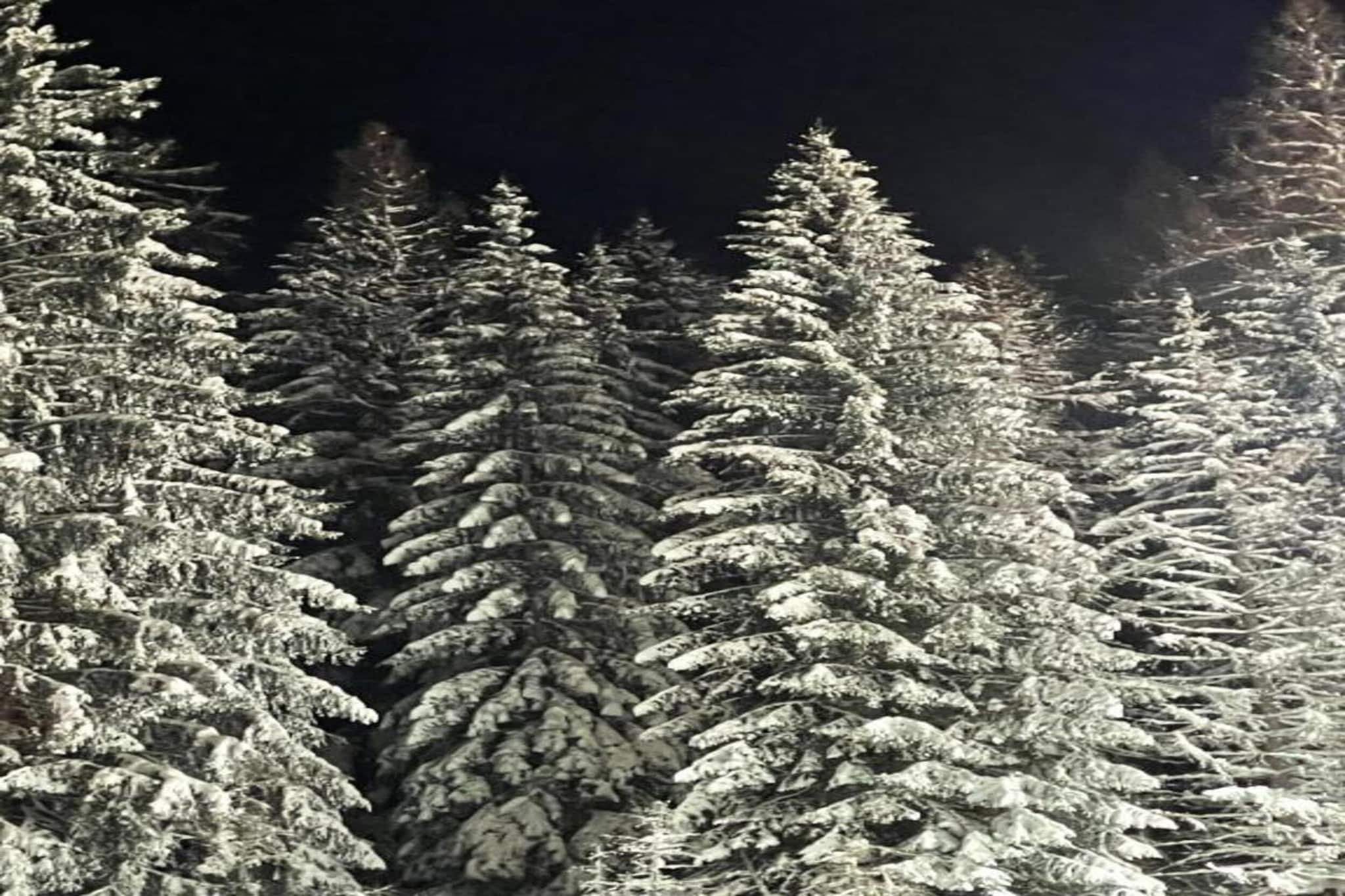 Brouwer Ferienhaus-Gebied winter 5km