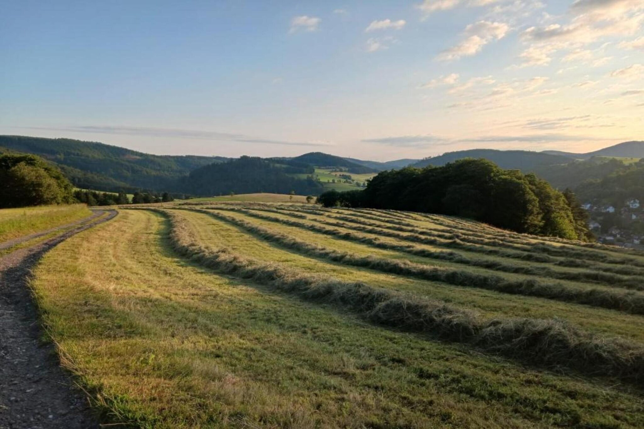 Brouwer Ferienhaus-Gebieden zomer 5km