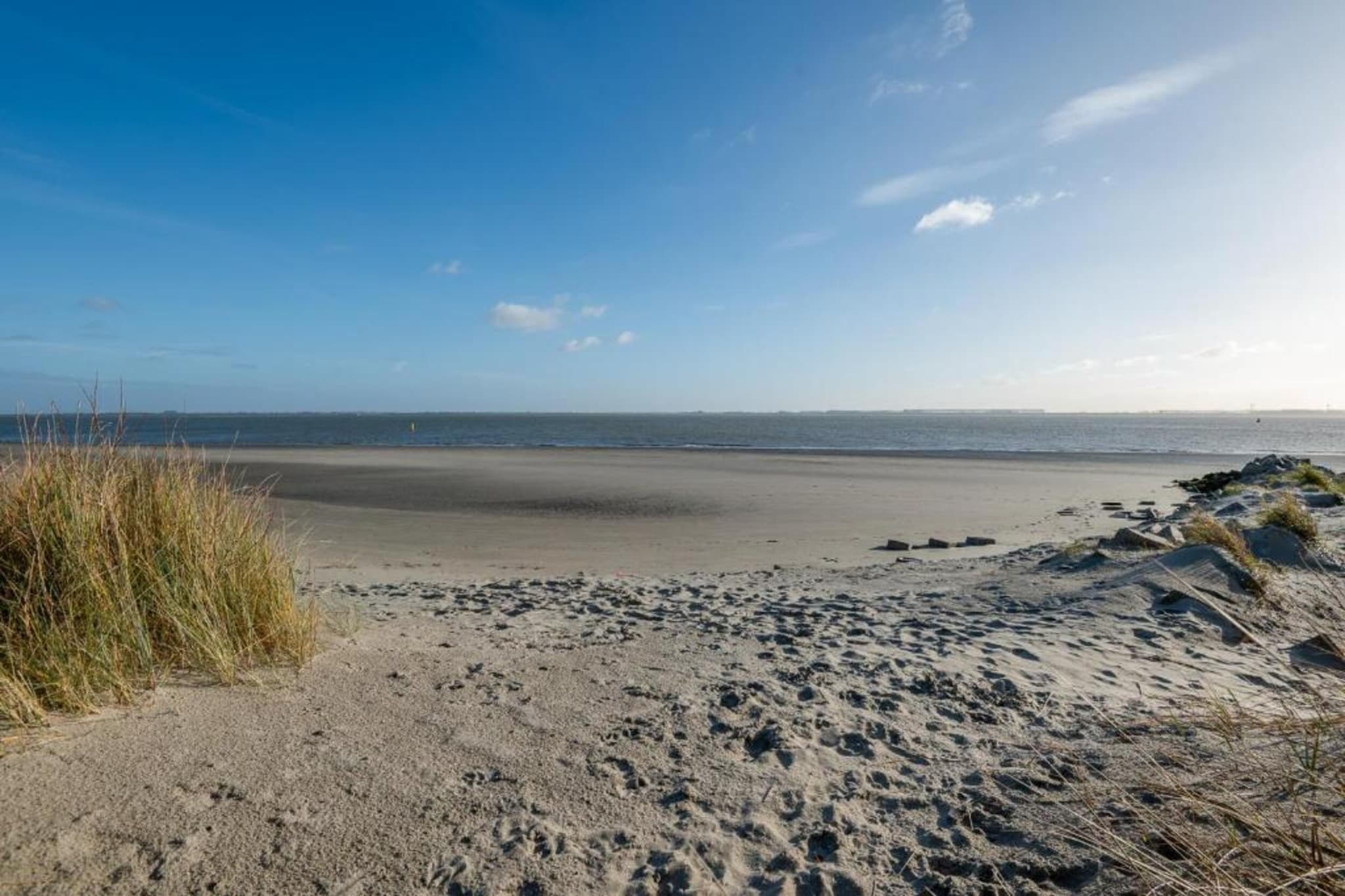 Scheldeoord 97-Gebieden zomer 20km