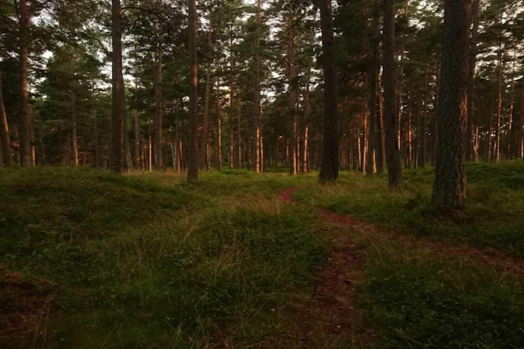 4 persoons vakantie huis in INGARÖ-By Traum-Niet-getagd