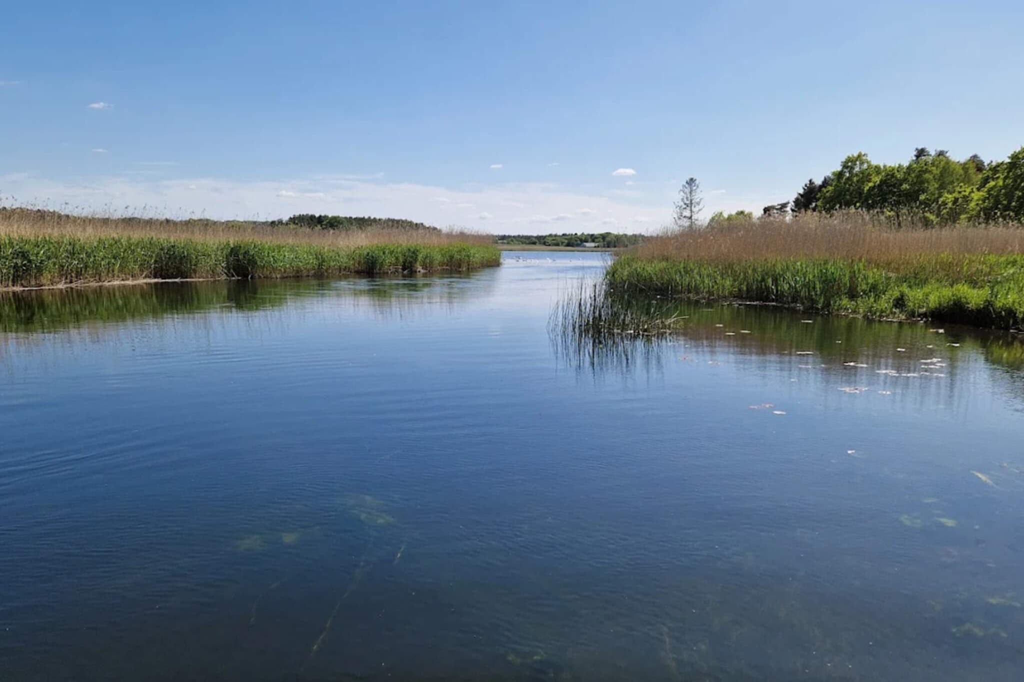 6 persoons vakantie huis in Silkeborg-By Traum-Waterzicht