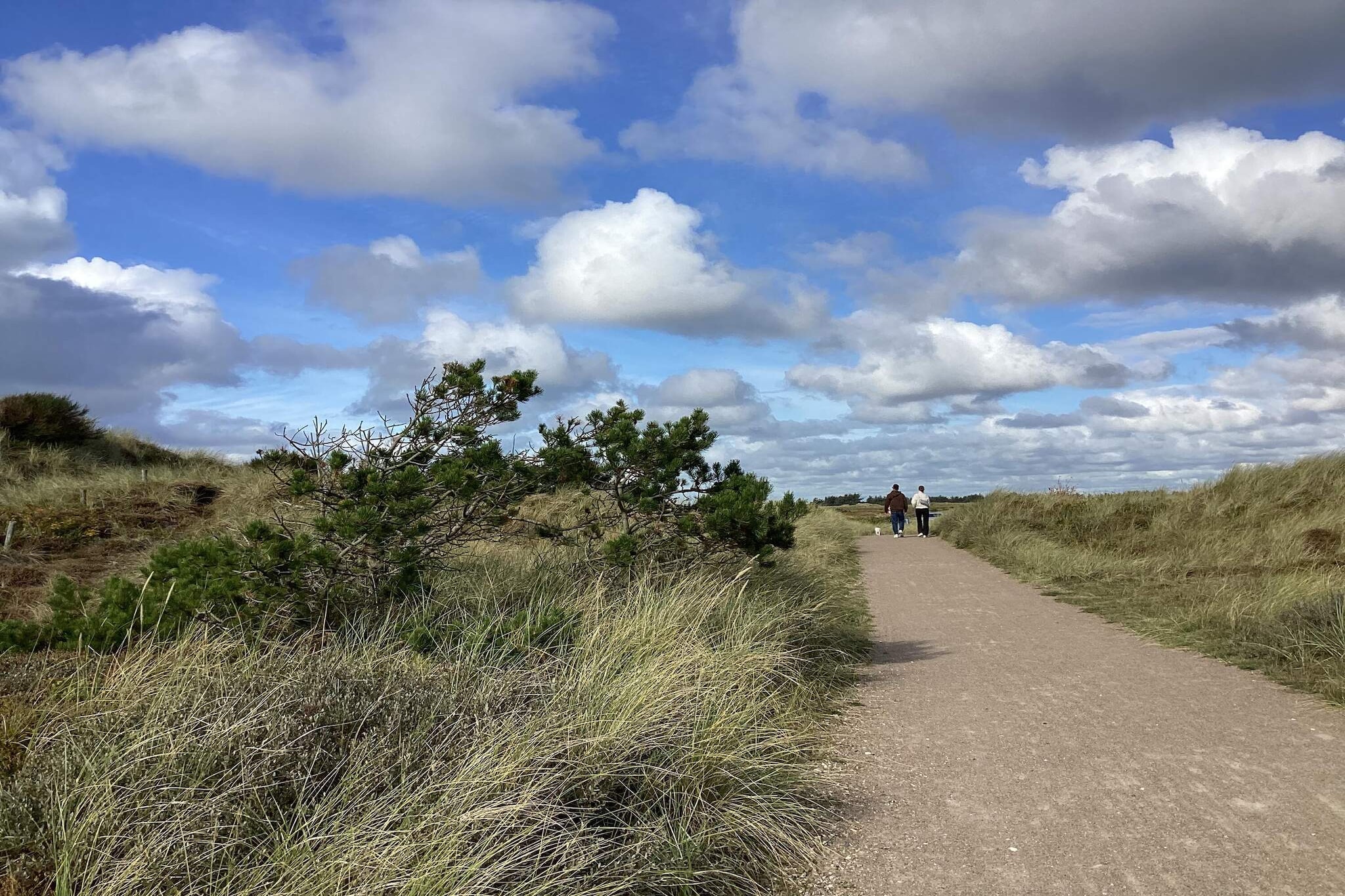 Gezellig strandhuis als toevluchtsoord - Niet-getagd