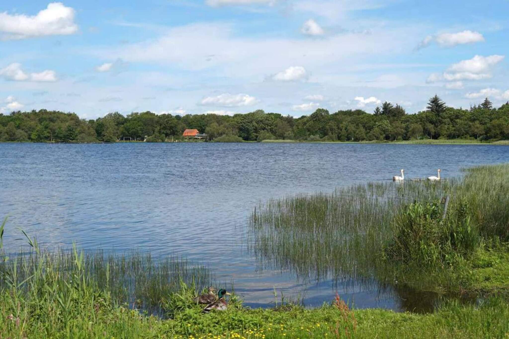 6 persoons vakantie huis in Ansager-By Traum - Waterzicht