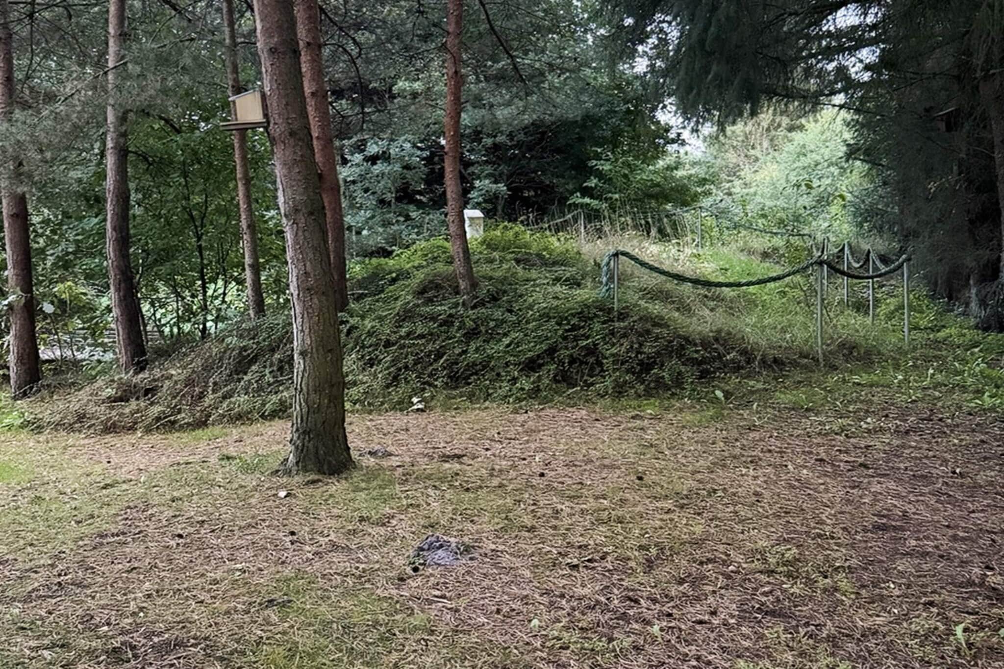 6 persoons vakantie huis in Ansager-By Traum - Buitenlucht