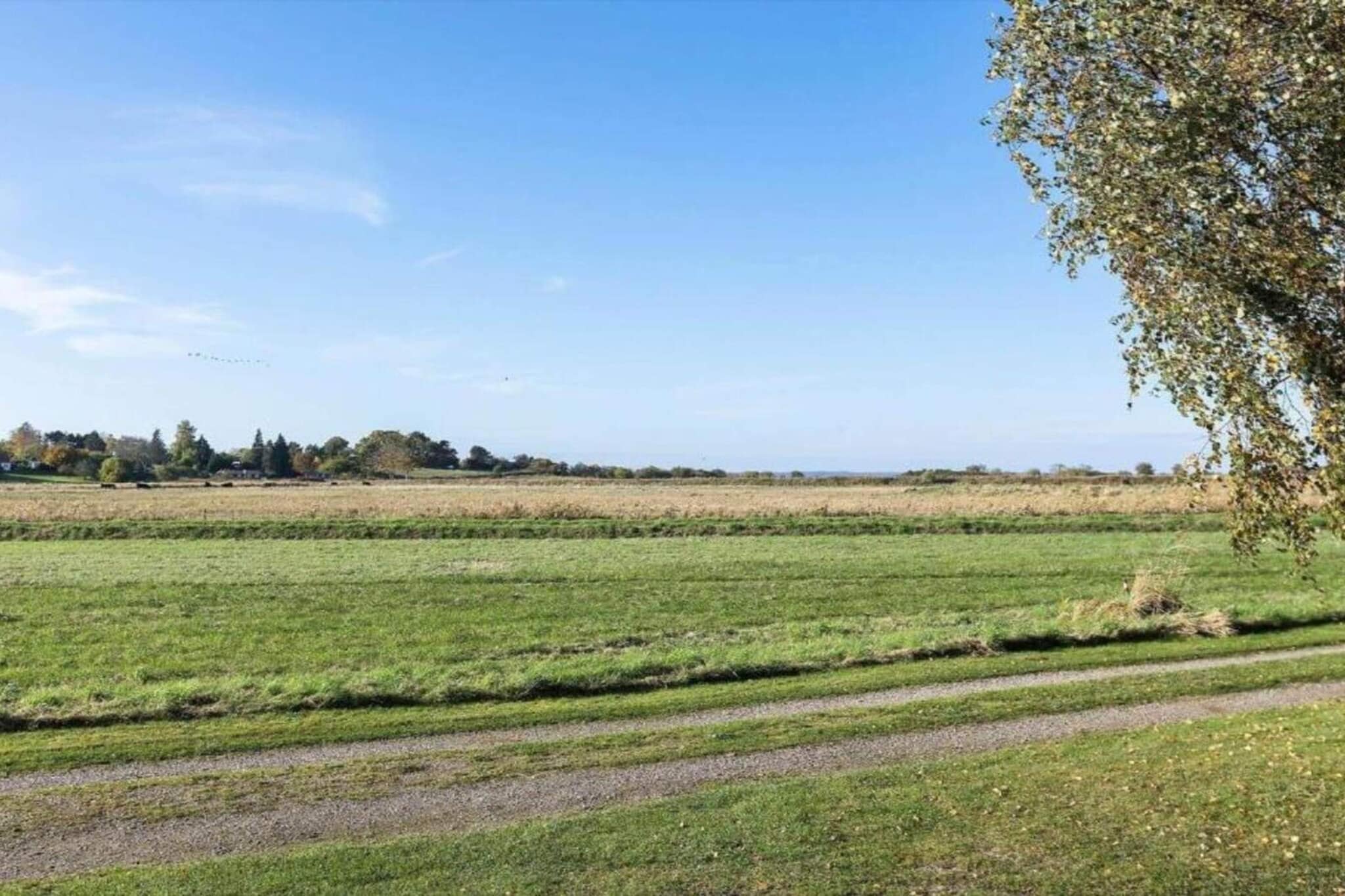 5 persoons vakantie huis in Stege-By Traum-Niet-getagd