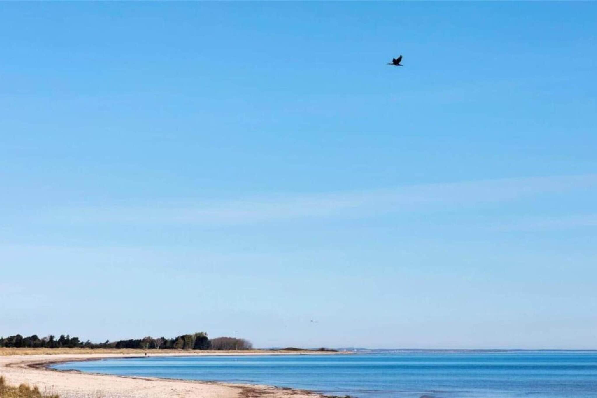 5 persoons vakantie huis in Stege-By Traum-Waterzicht