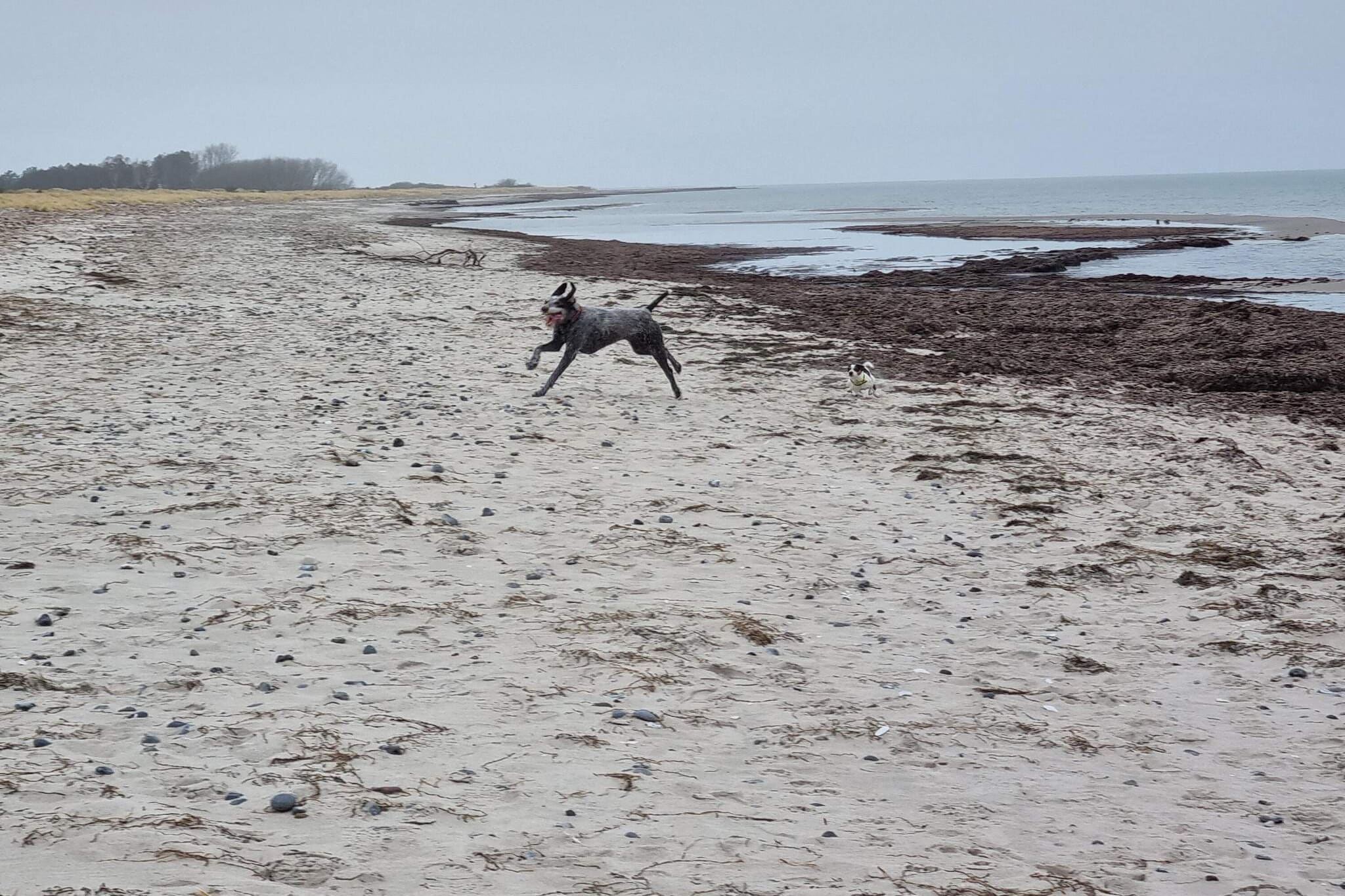 5 persoons vakantie huis in Stege-By Traum-Waterzicht