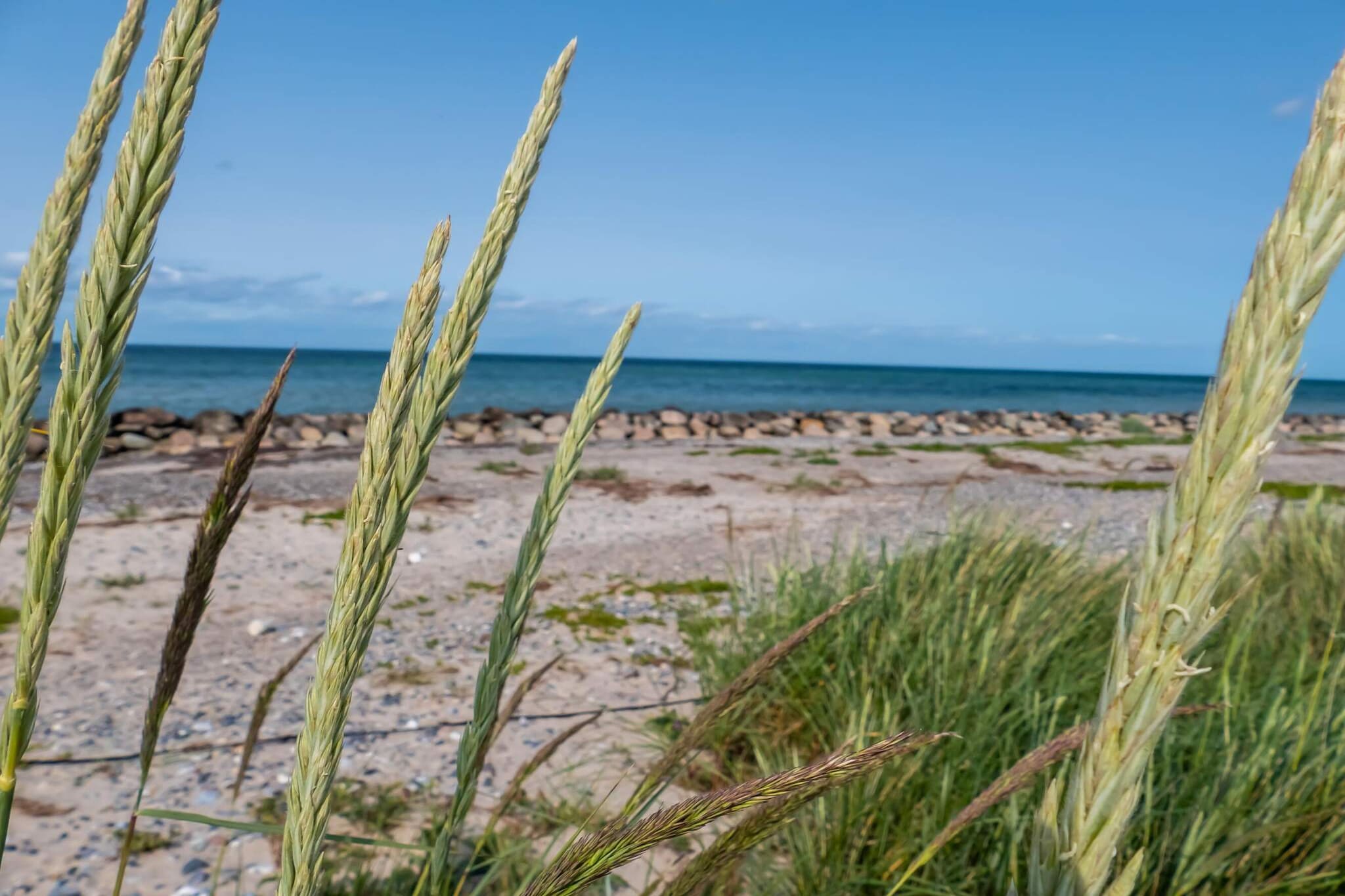 5 persoons vakantie huis in Stege-By Traum-Waterzicht