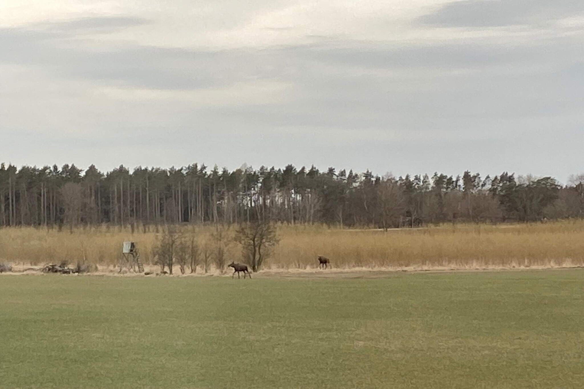 Charmante cottage op het platteland in Bohuslän - Niet-getagd