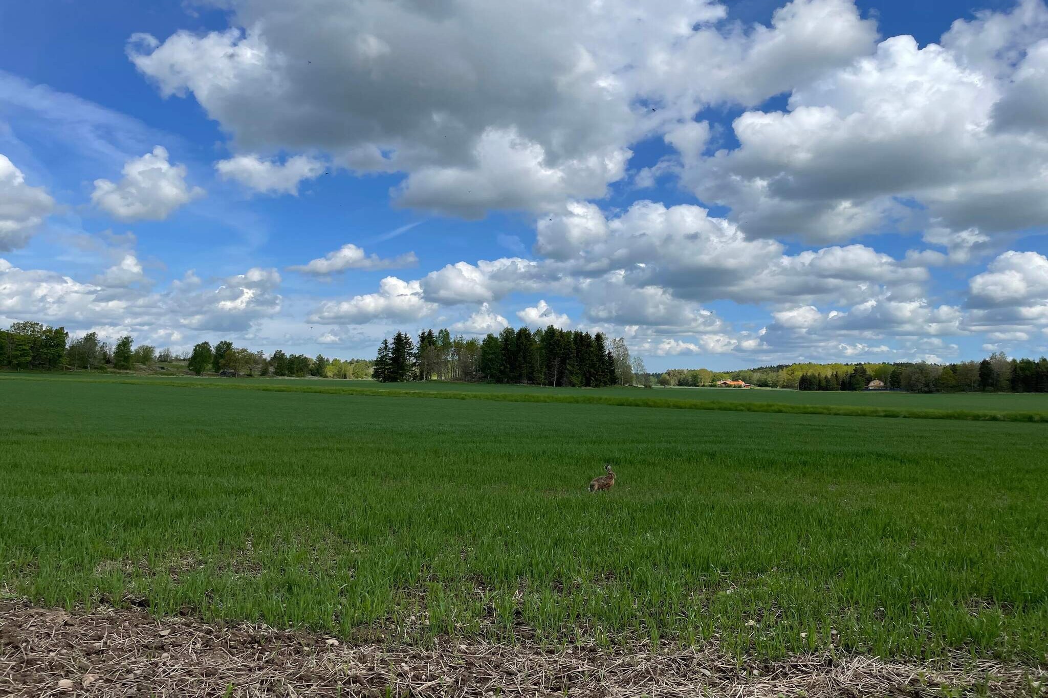 Charmante cottage op het platteland in Bohuslän - Niet-getagd