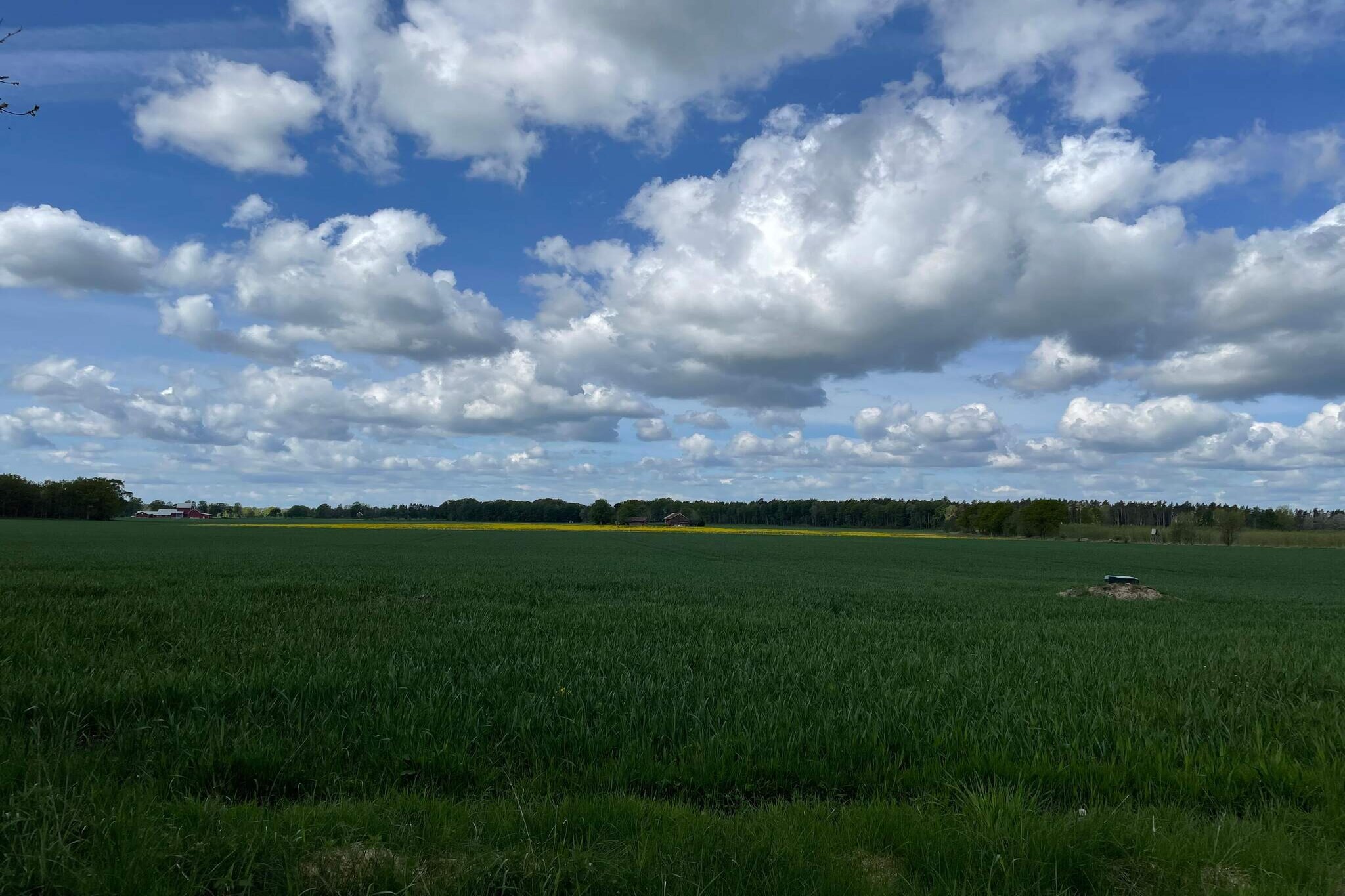 Charmante cottage op het platteland in Bohuslän - Niet-getagd