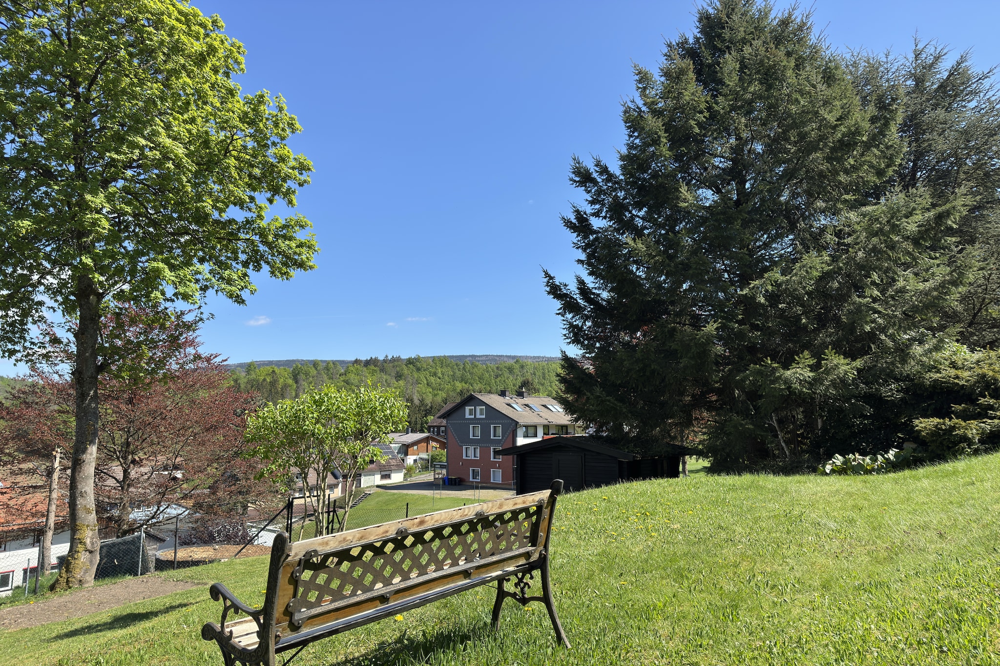 View Summer